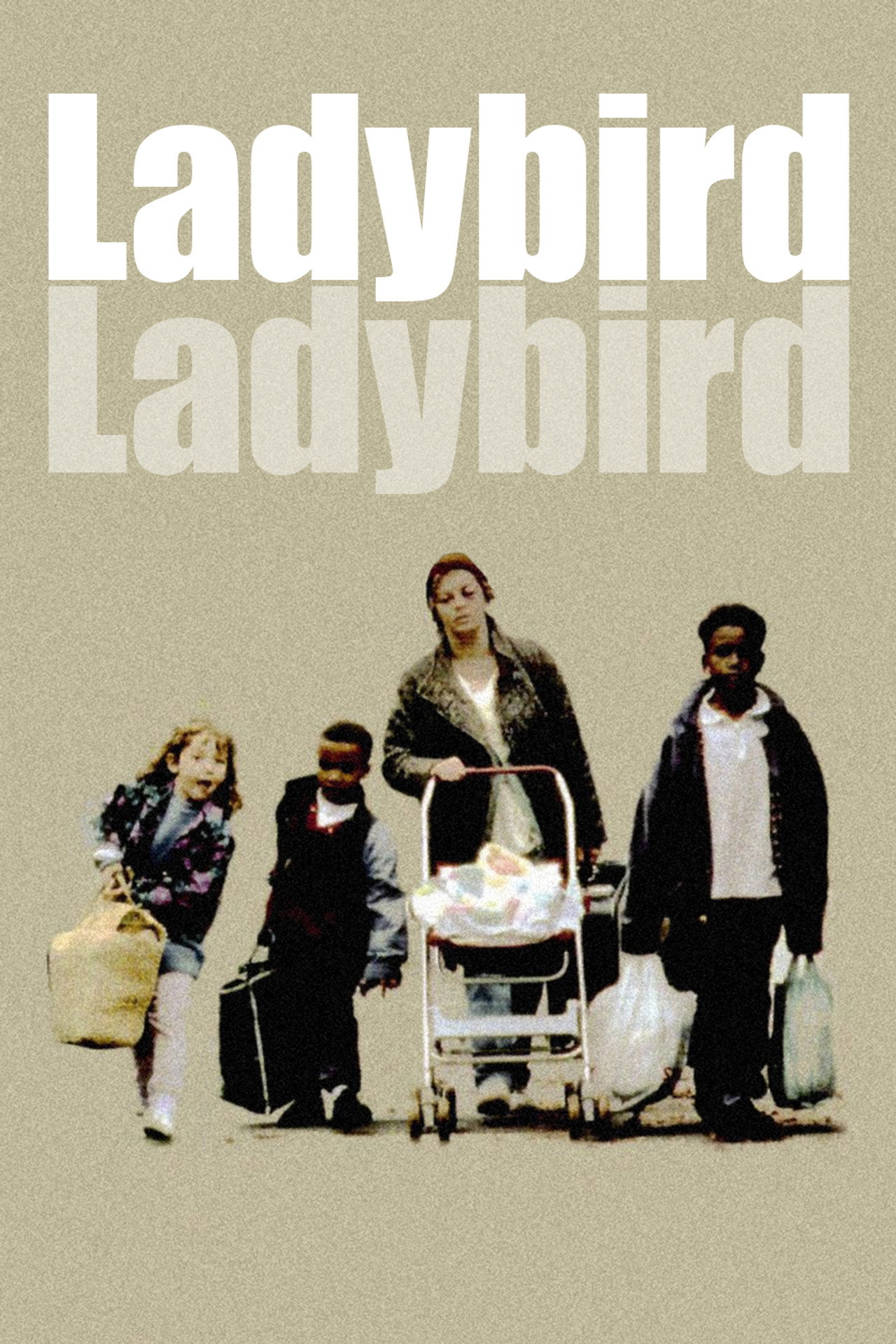 Pôster de Ladybird Ladybird