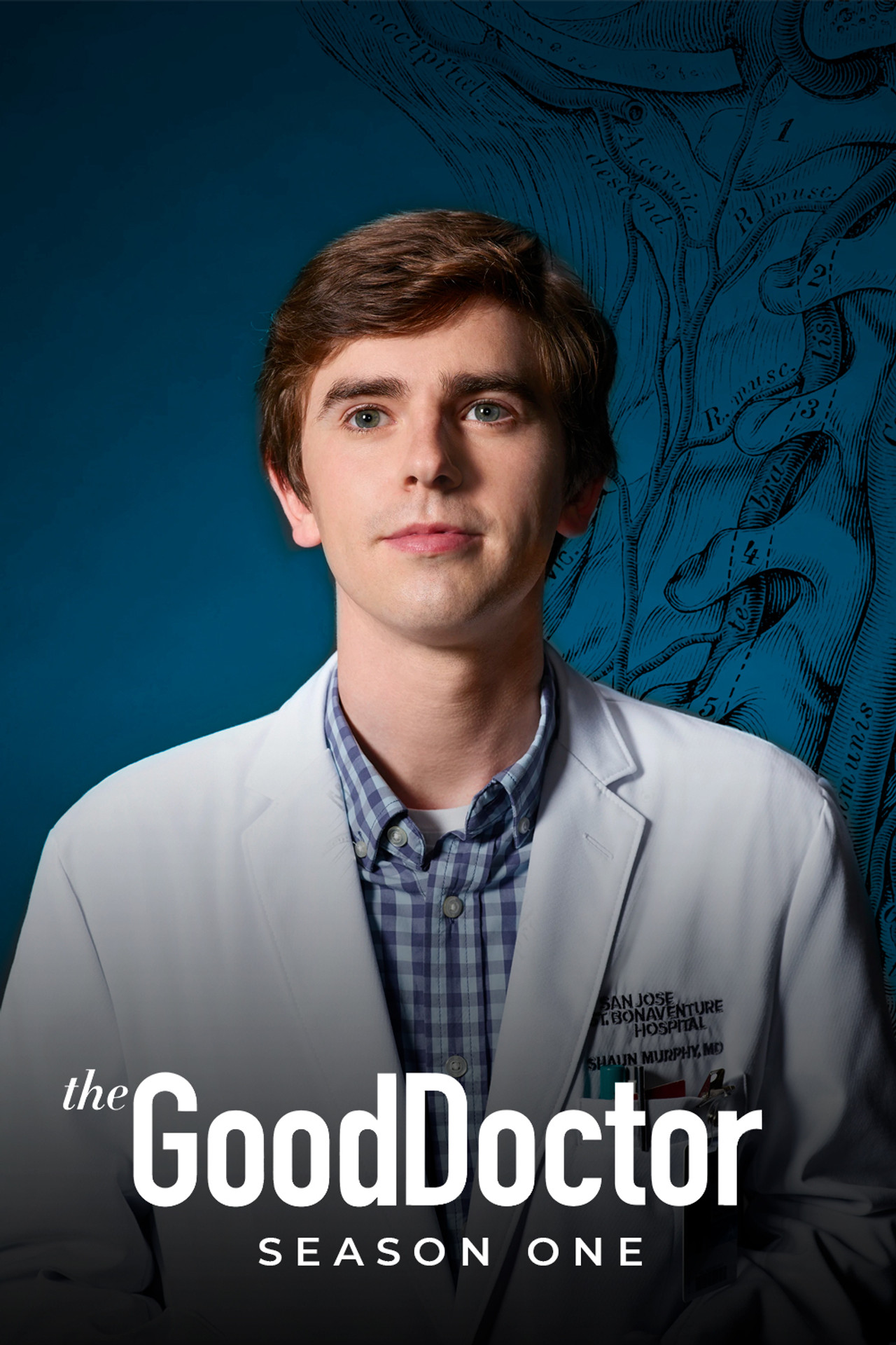 Pôster de The Good Doctor