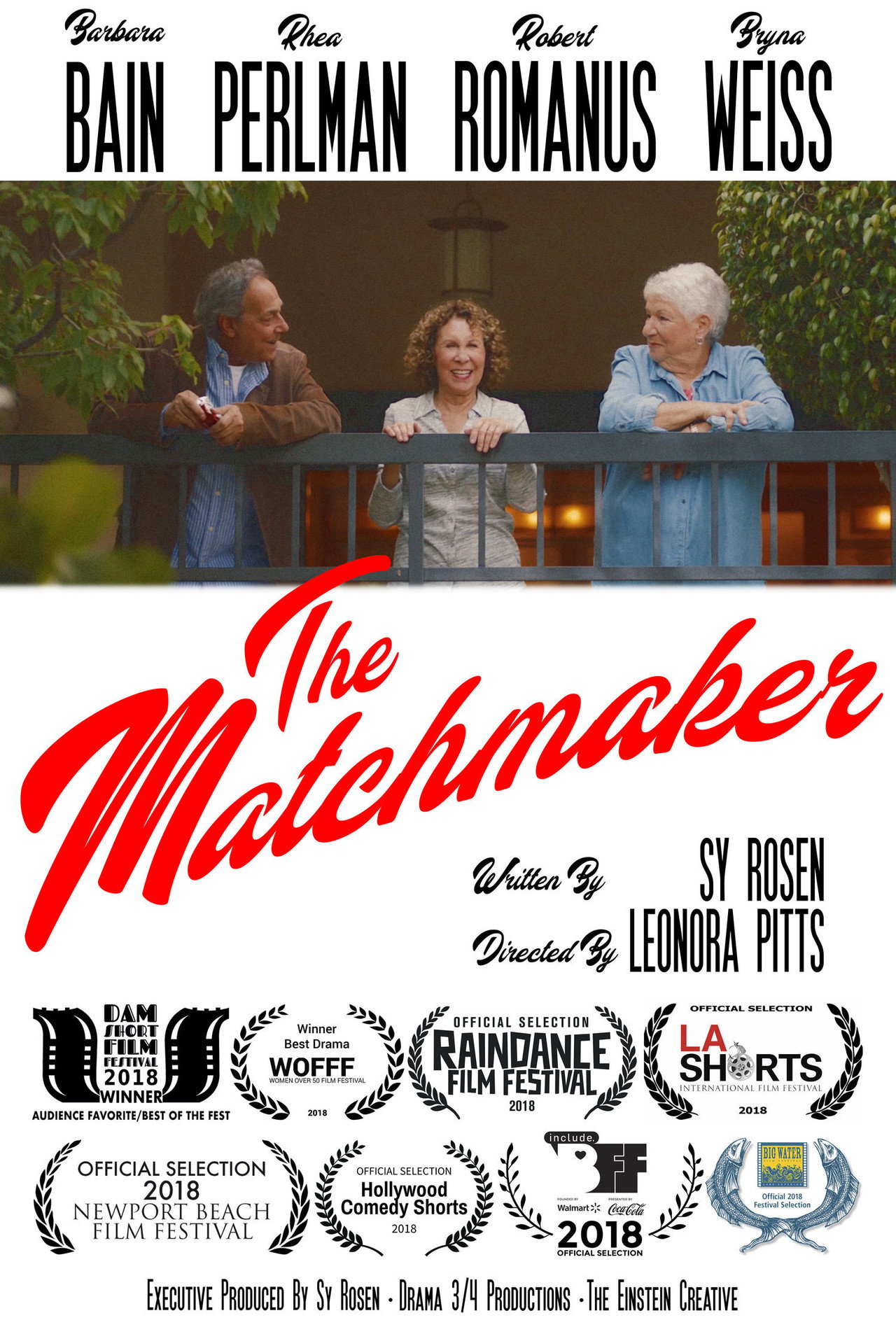 Pôster de The Matchmaker