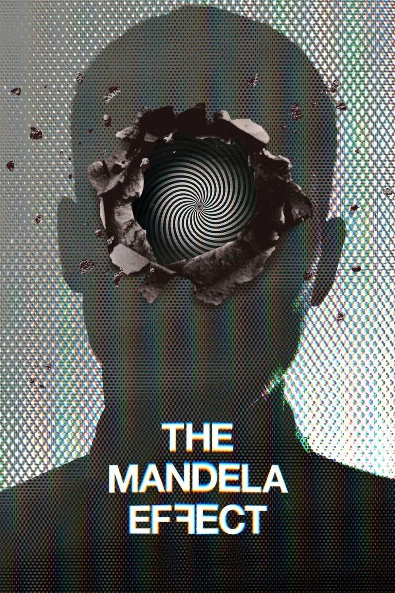 Pôster de The Mandela Effect