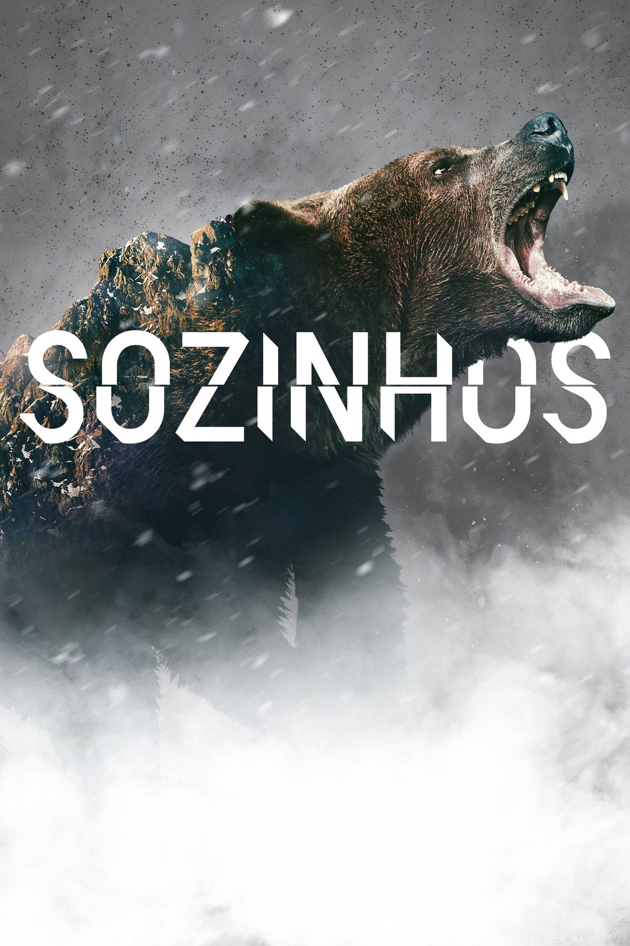 Pôster de Sozinhos