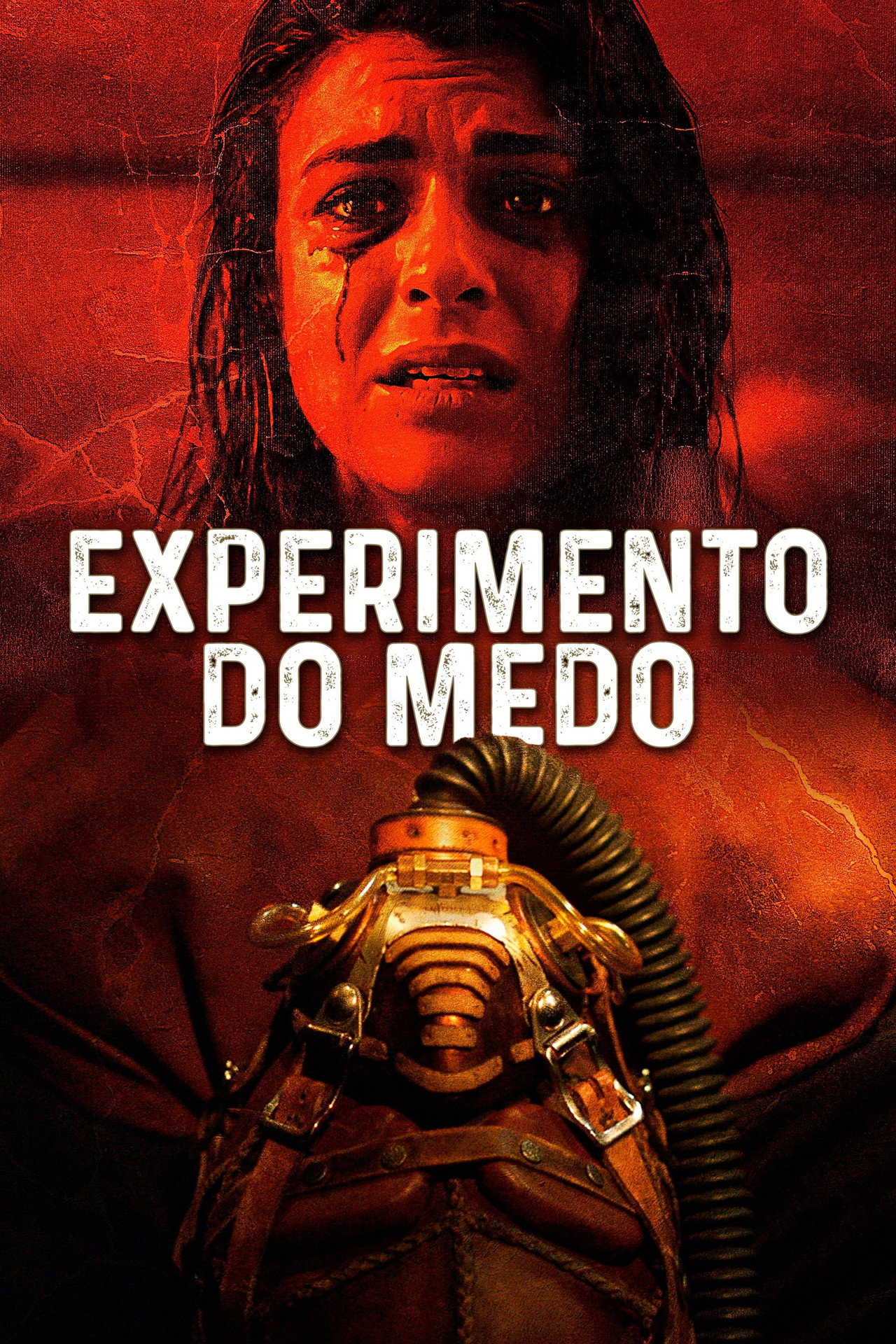 Pôster de Experimento do Medo