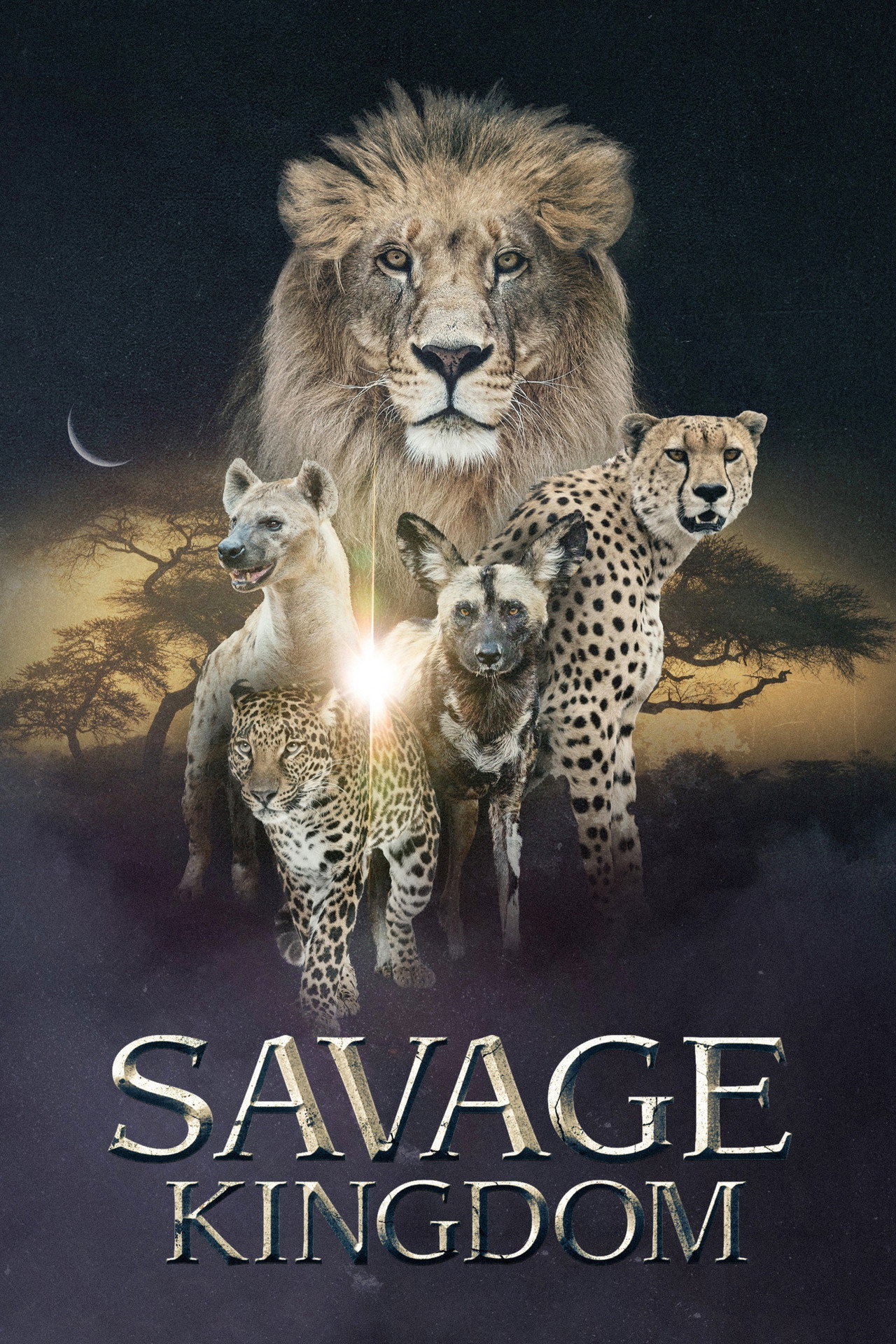 Pôster de Savage Kingdom