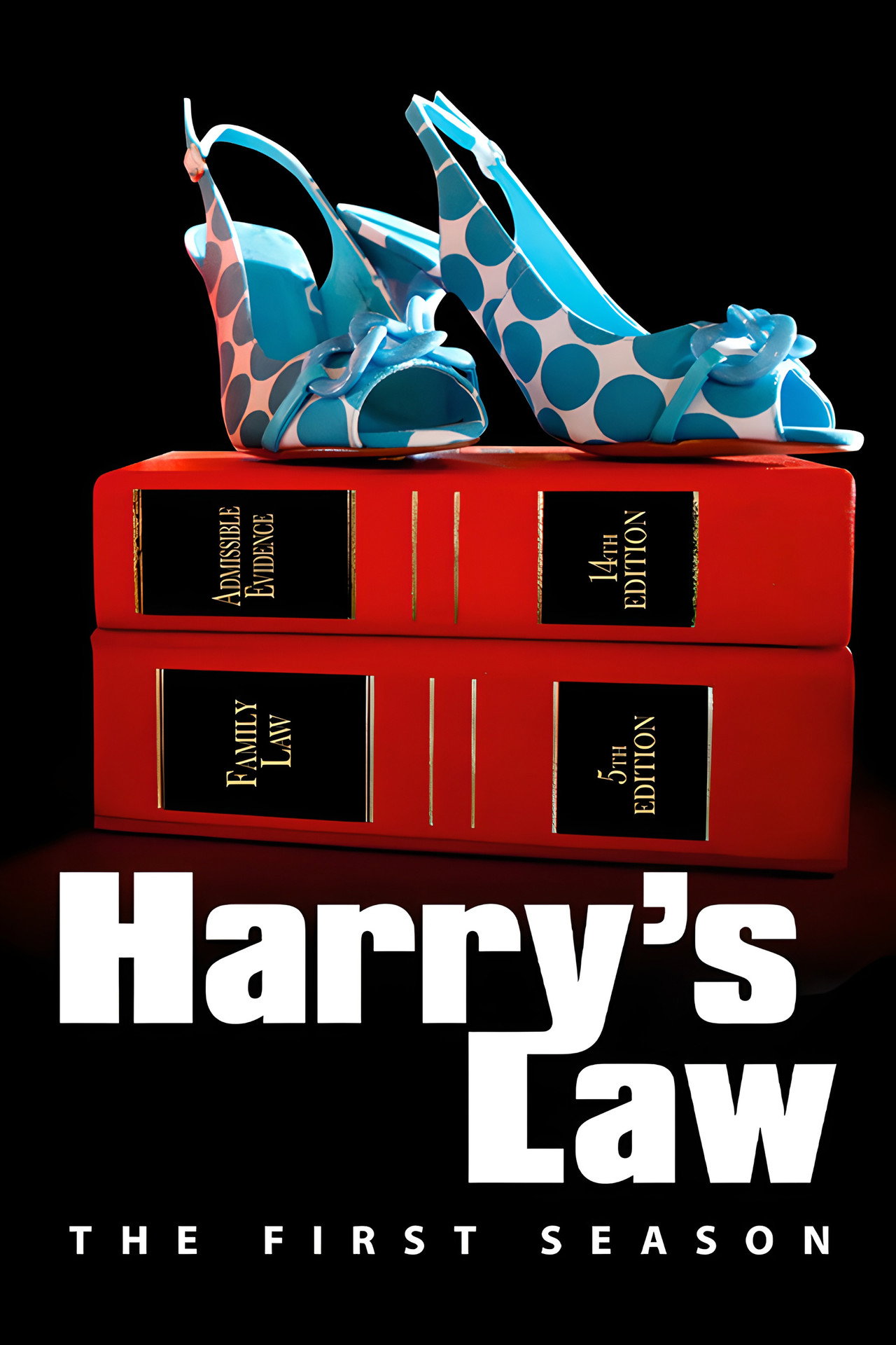 Pôster de Harry's Law