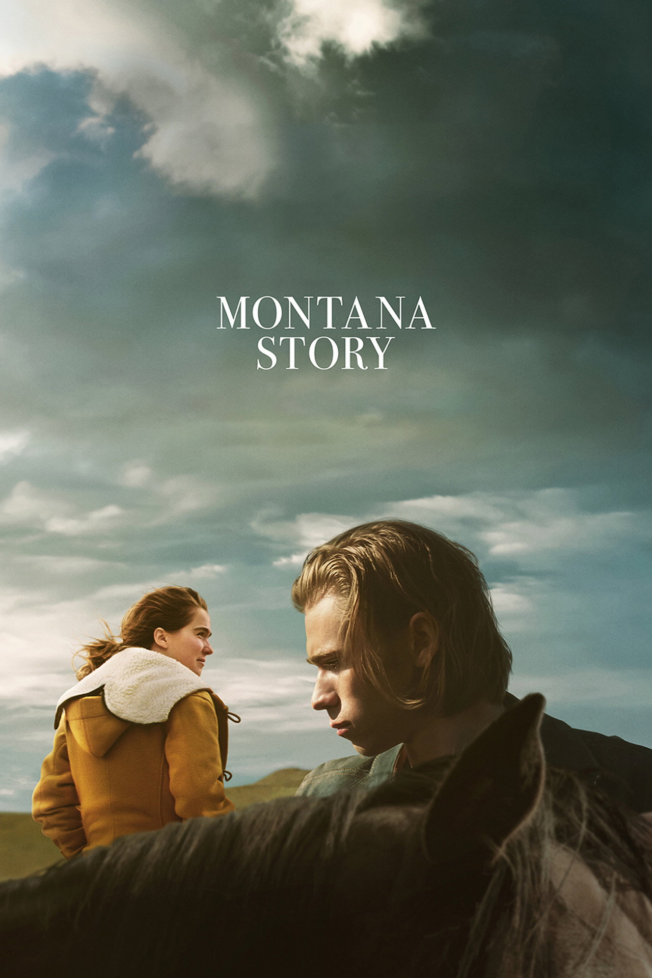 Pôster de Montana Story