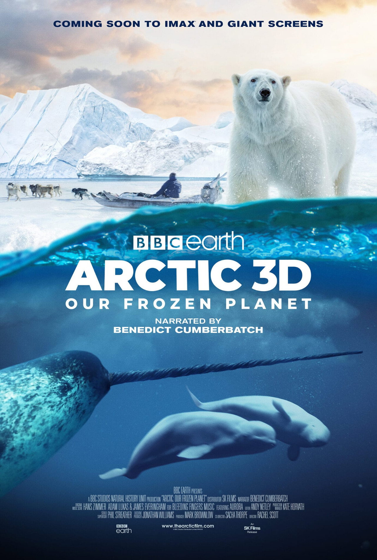 Pôster de Arctic: Our Frozen Planet