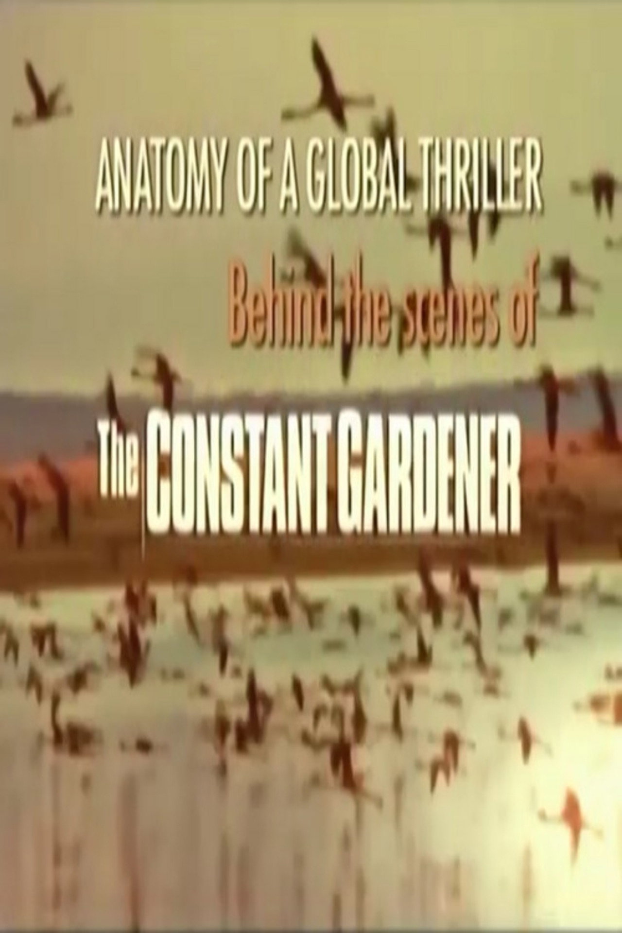Pôster de Anatomy of a Global Thriller: Behind the Scenes of The Constant Gardener