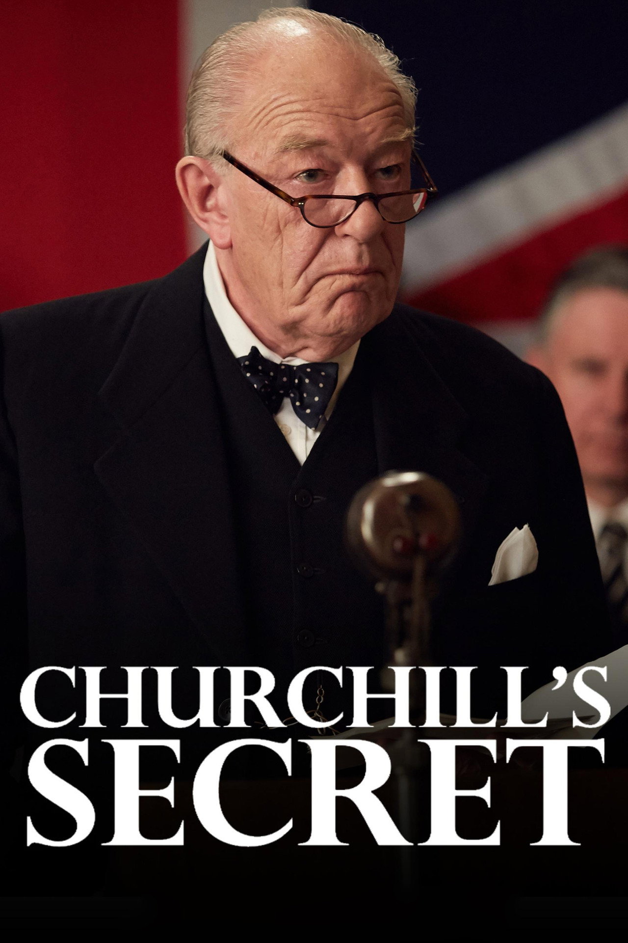 Pôster de Churchill's Secret
