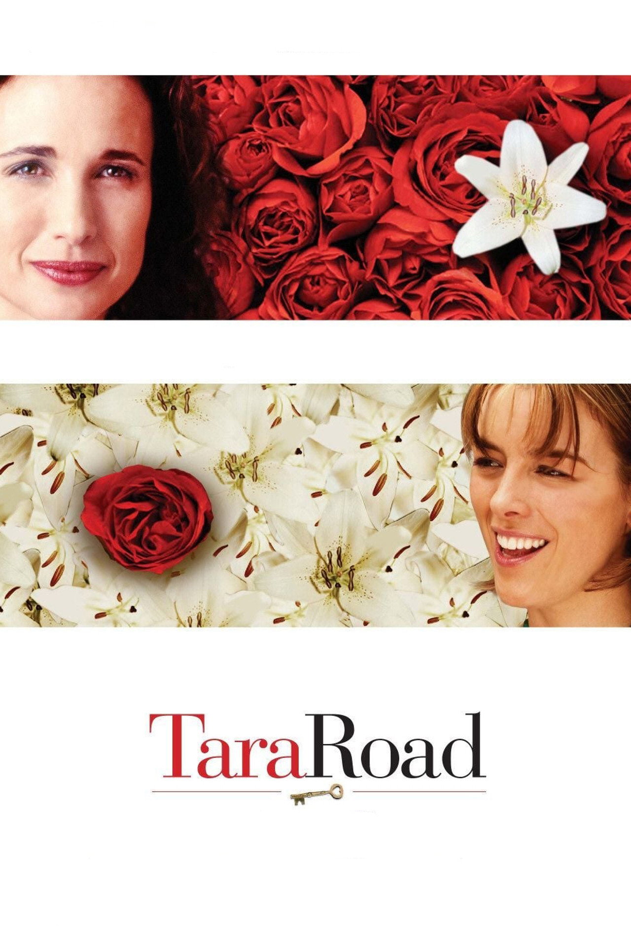 Pôster de Tara Road