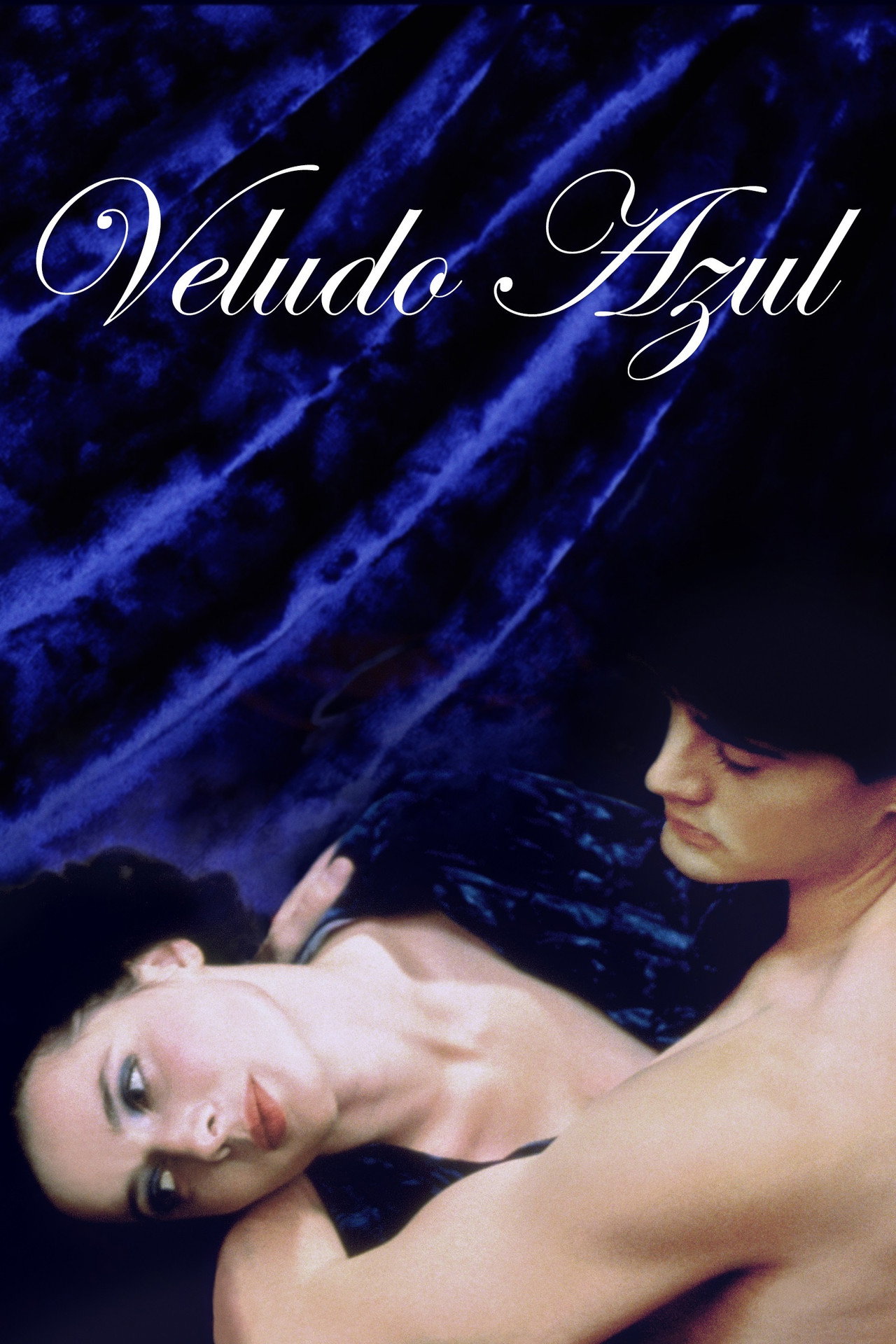Pôster de Veludo Azul