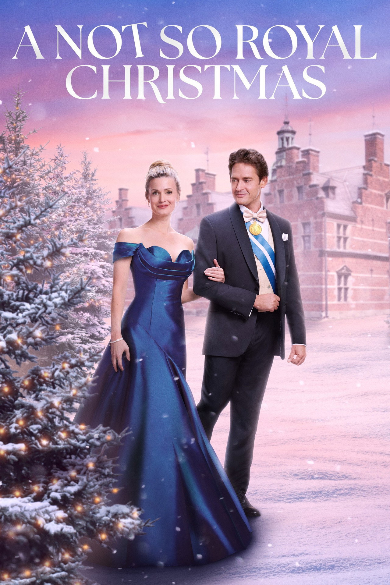 Pôster de A Not So Royal Christmas