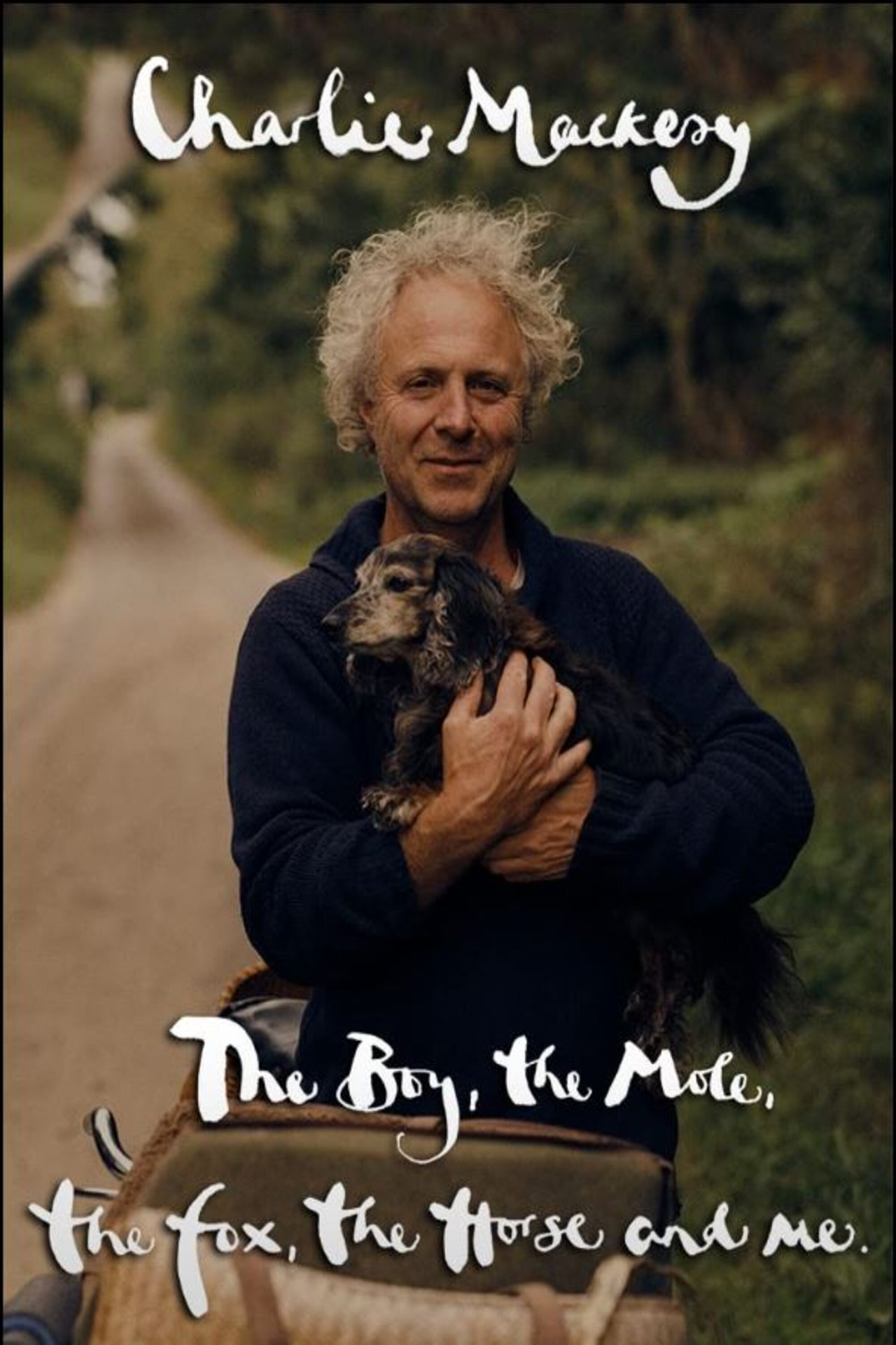 Pôster de Charlie Mackesy: The Boy, the Mole, the Fox, the Horse and Me