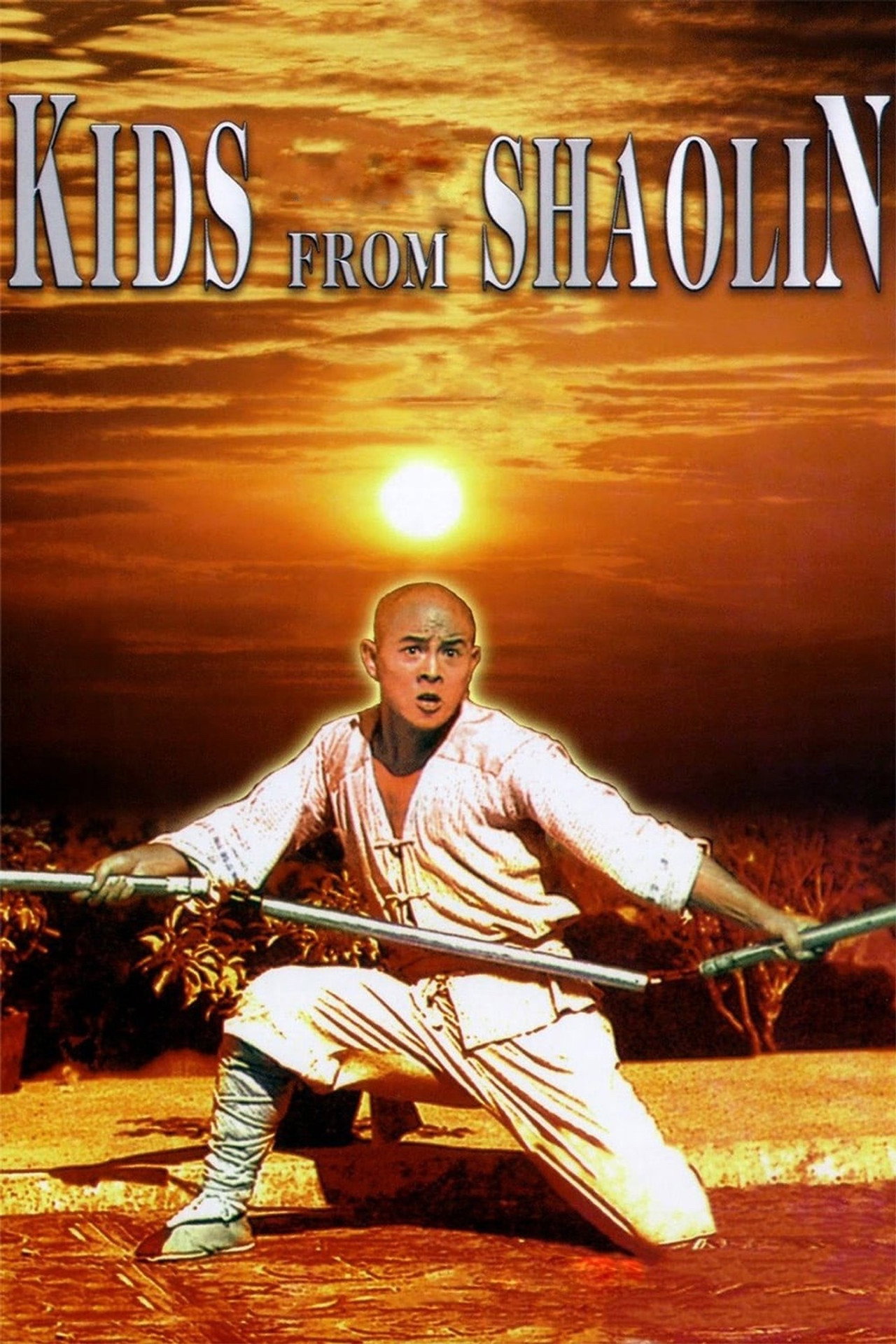 Pôster de Kids from Shaolin