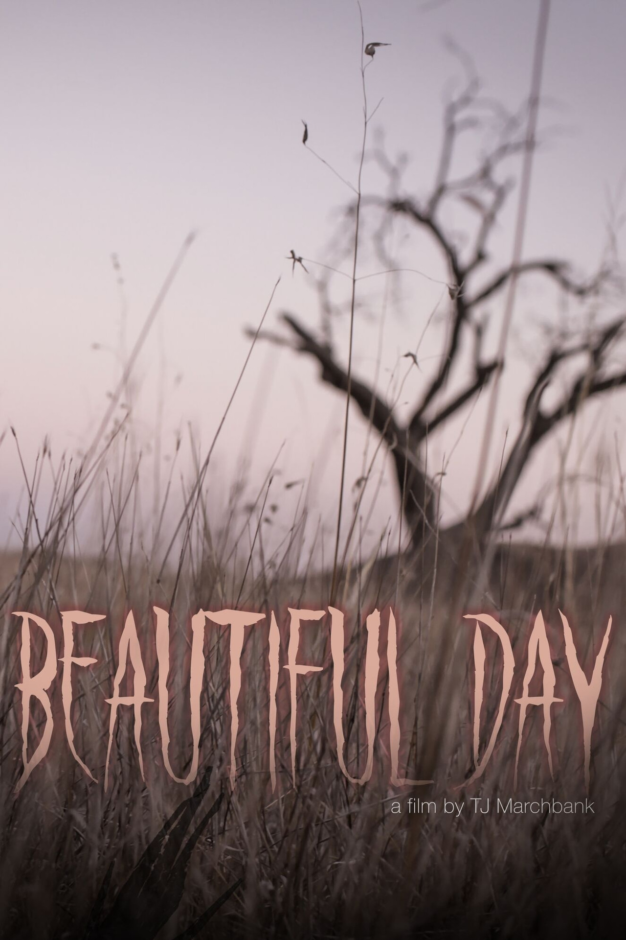 Pôster de Beautiful Day