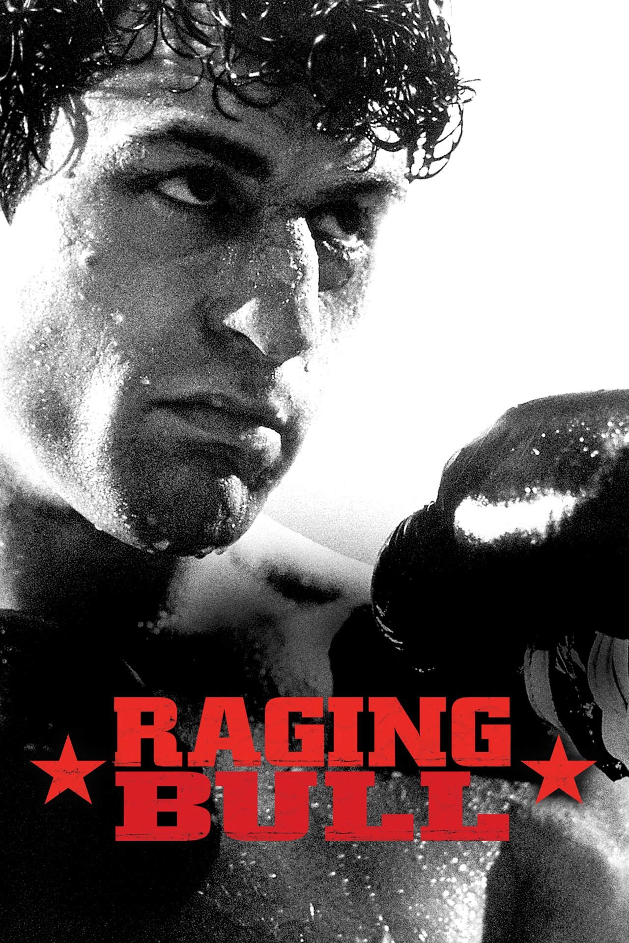 Pôster de Raging Bull