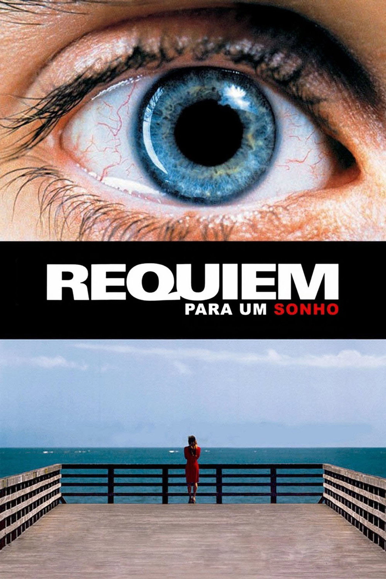 Pôster de Réquiem para um Sonho
