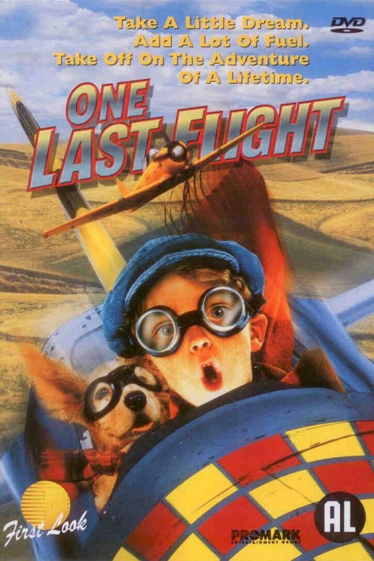 Pôster de One Last Flight