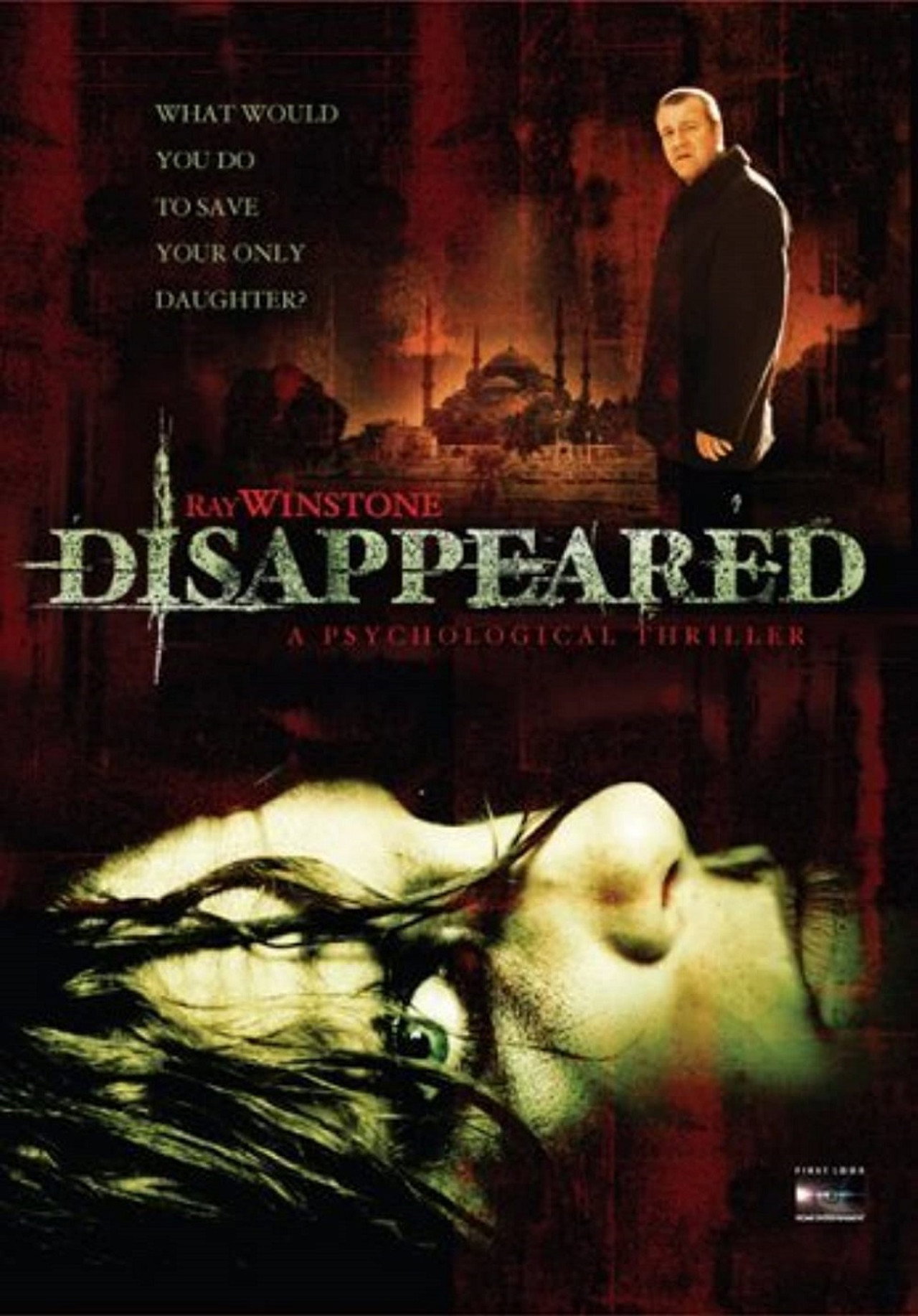 Pôster de Disappeared