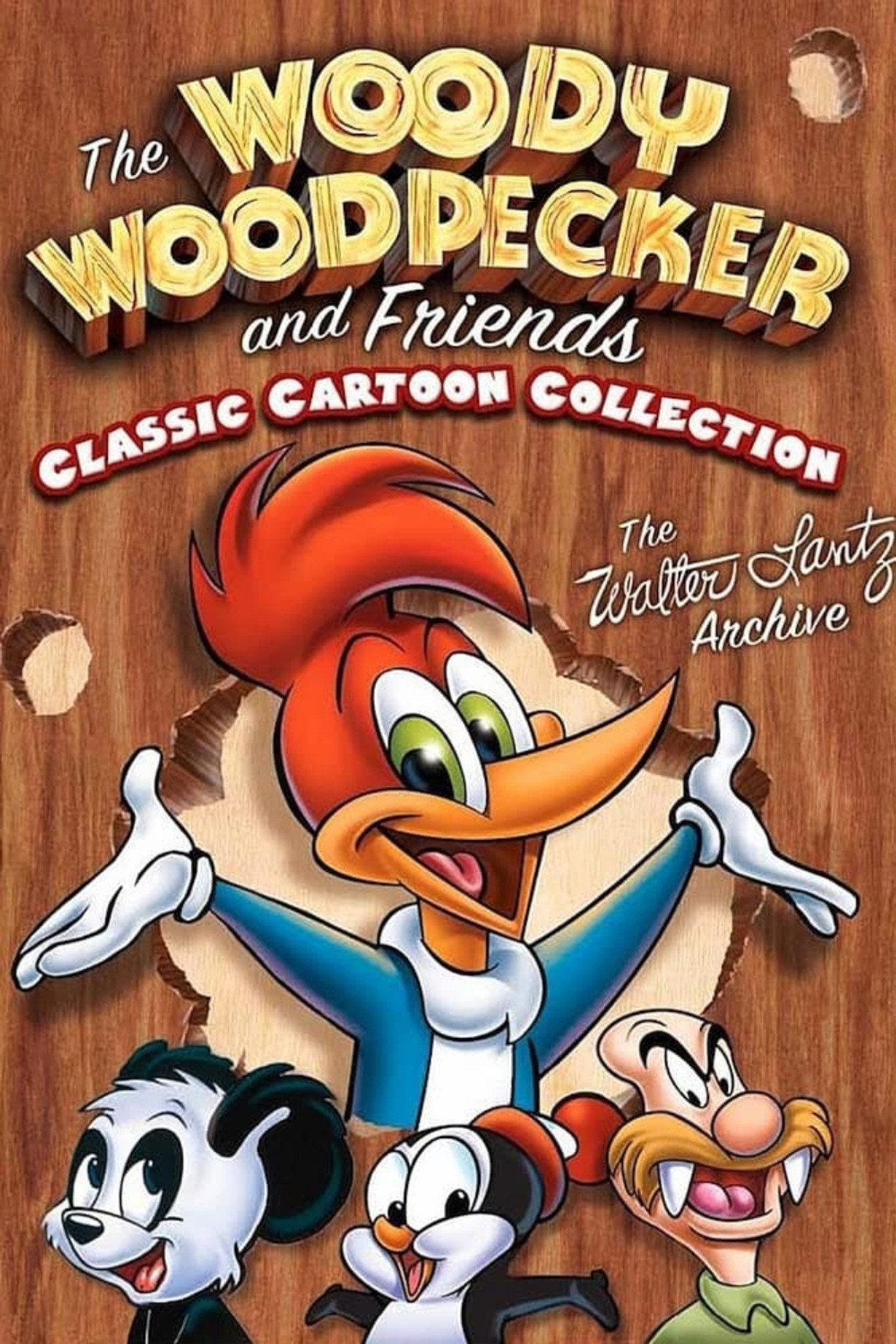 Pôster de Woody Woodpecker and Friends