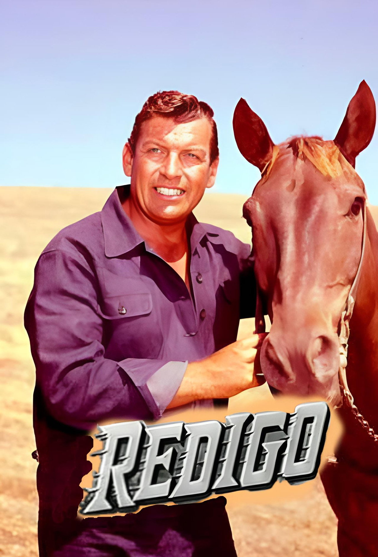 Pôster de Redigo