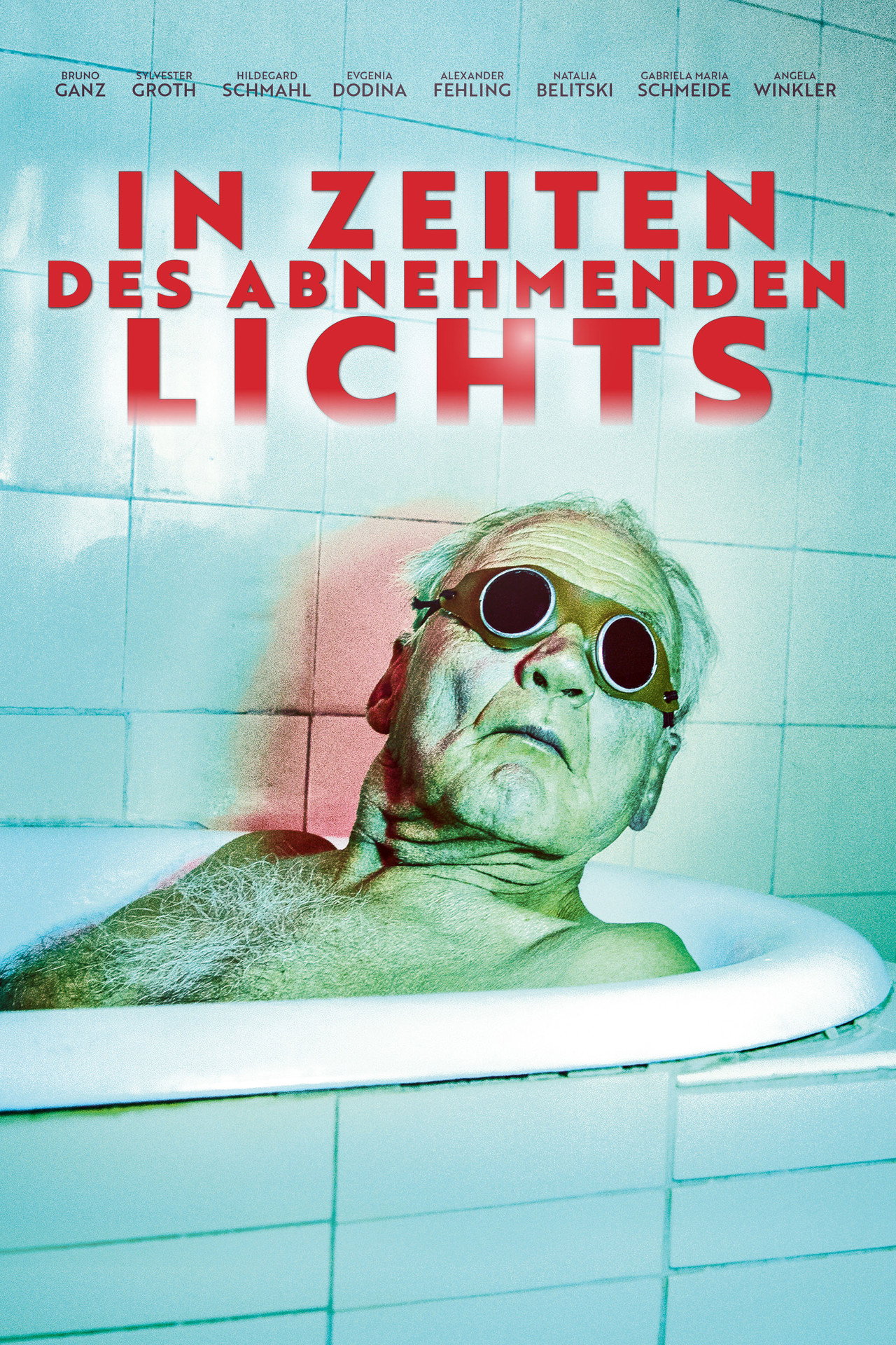 Pôster de In Zeiten des abnehmenden Lichts