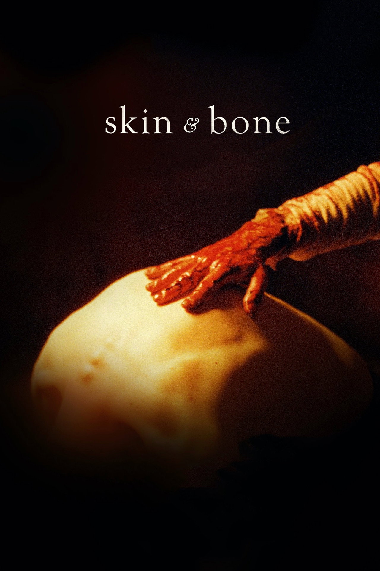 Pôster de Skin & Bone