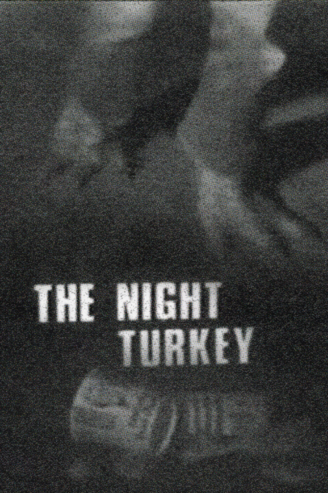 Pôster de The Night Turkey