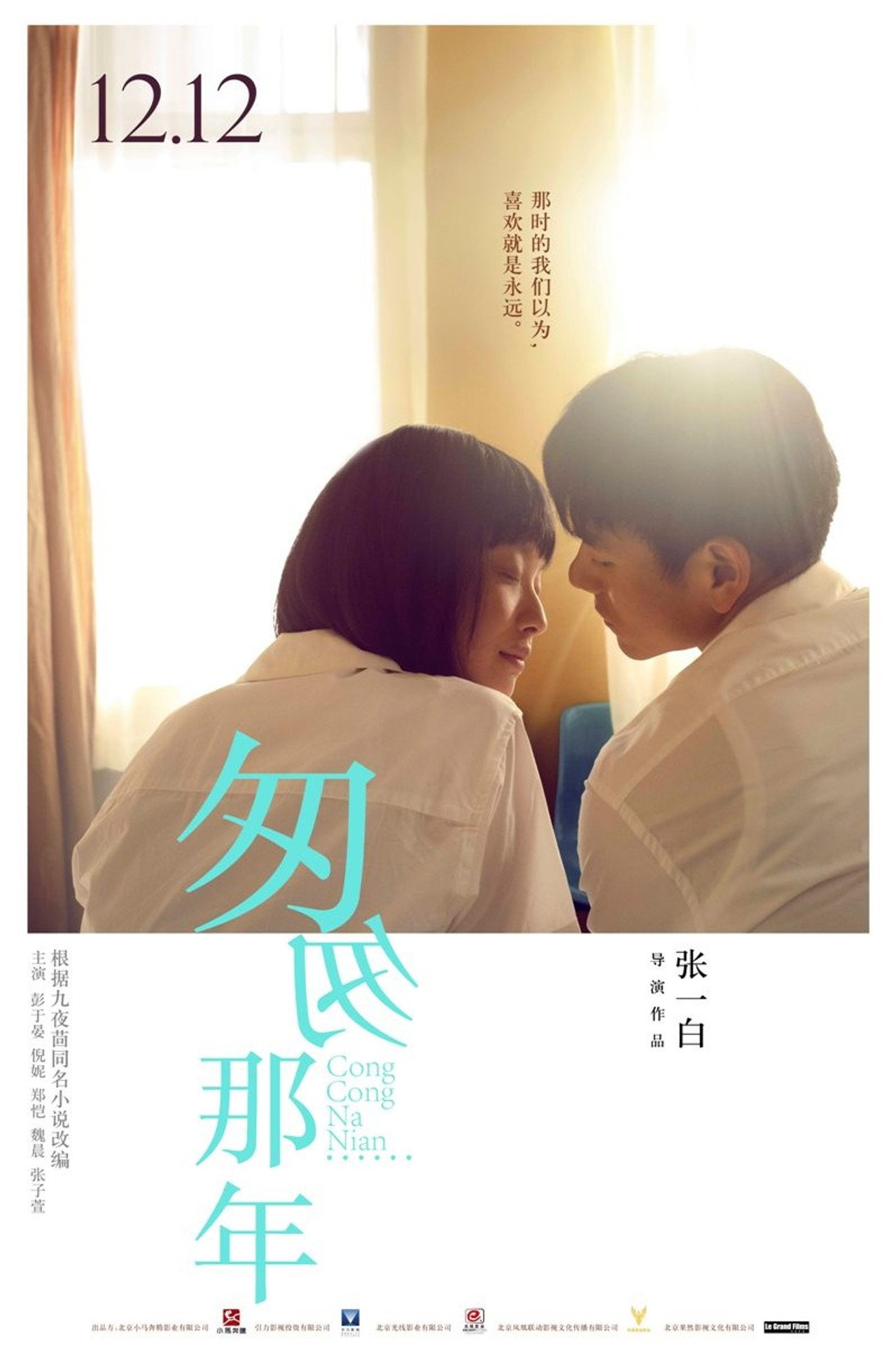 Pôster de 匆匆那年