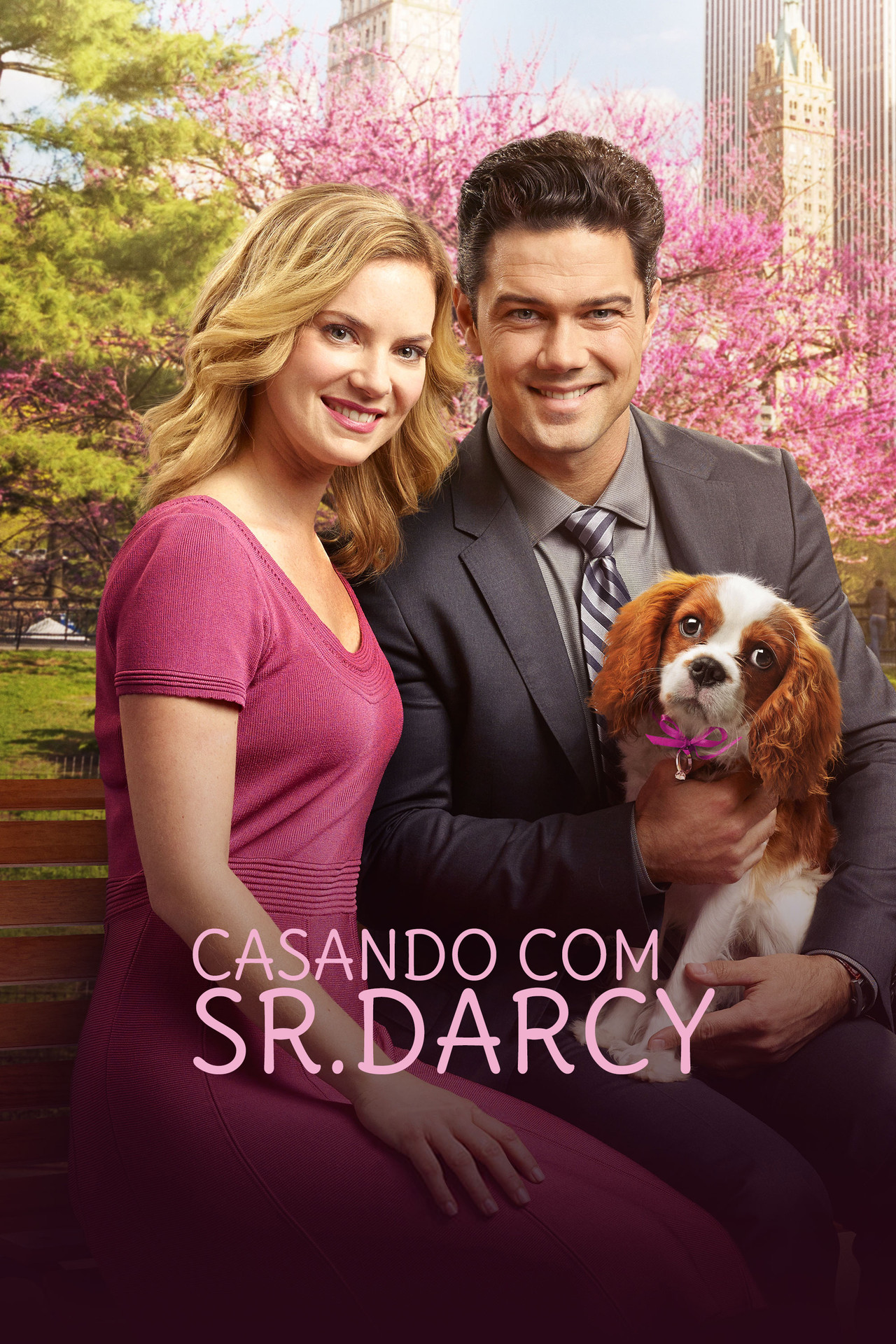 Pôster de Casando com Sr. Darcy