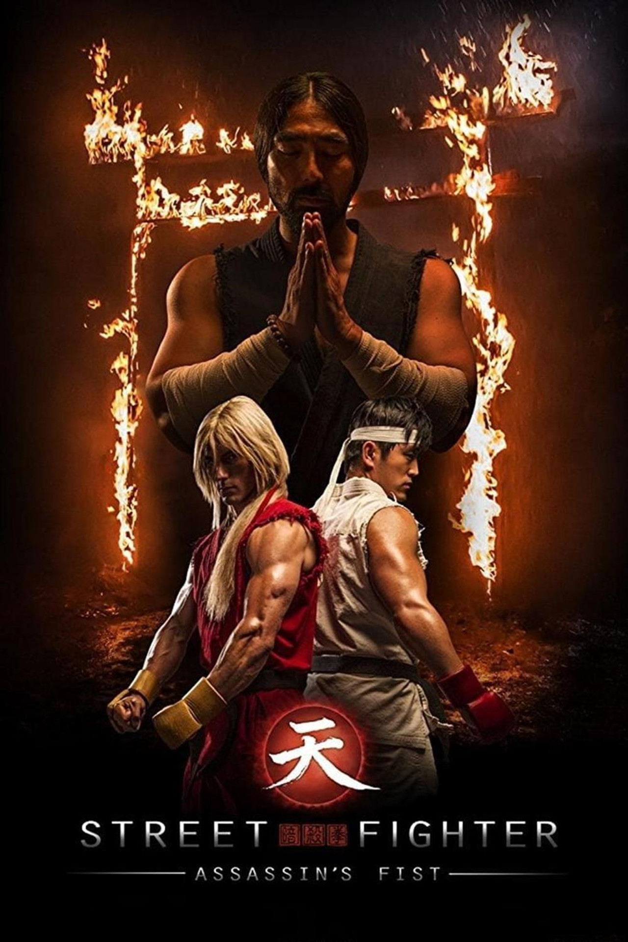 Pôster de Street Fighter: Assassin's Fist
