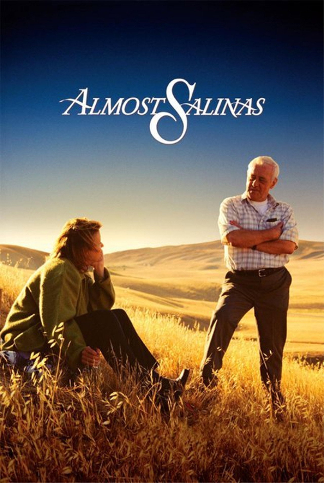 Pôster de Almost Salinas