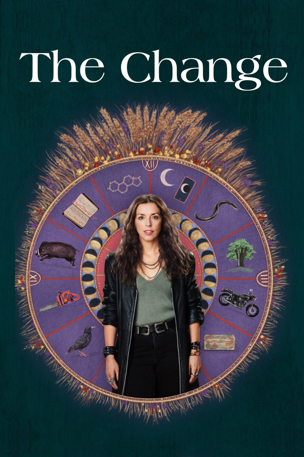 Pôster de The Change
