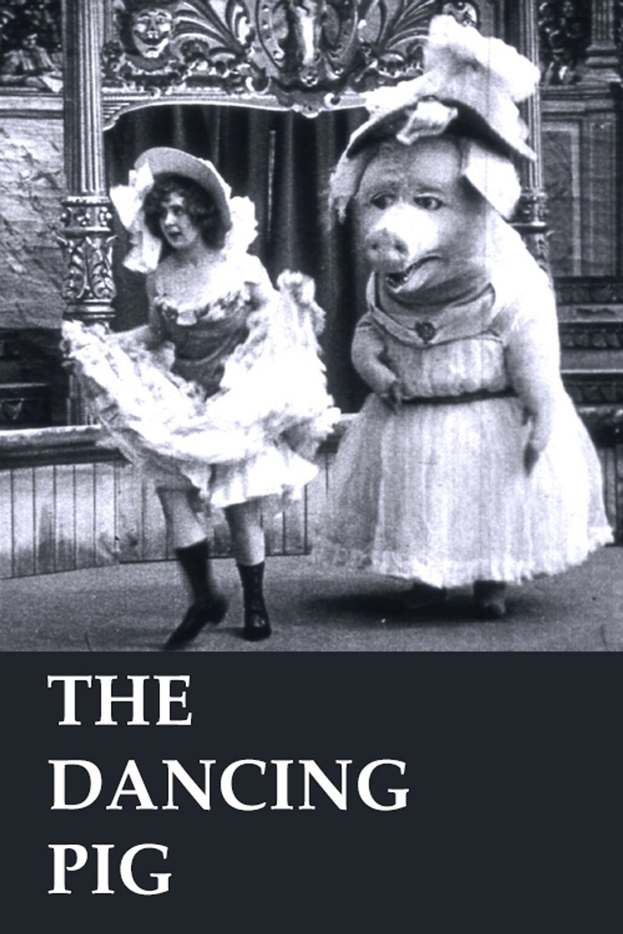 Pôster de The Dancing Pig