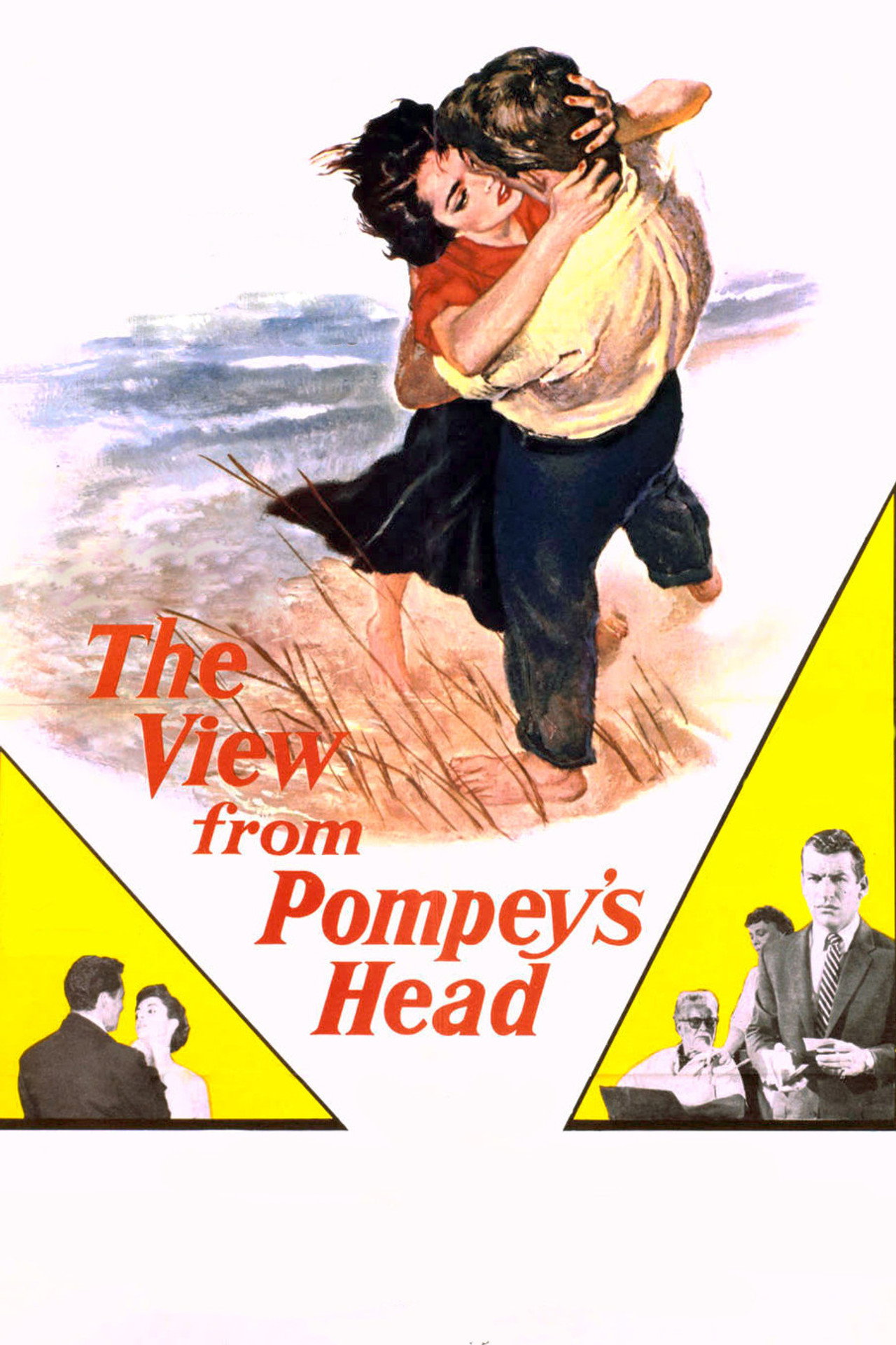 Pôster de The View from Pompey's Head