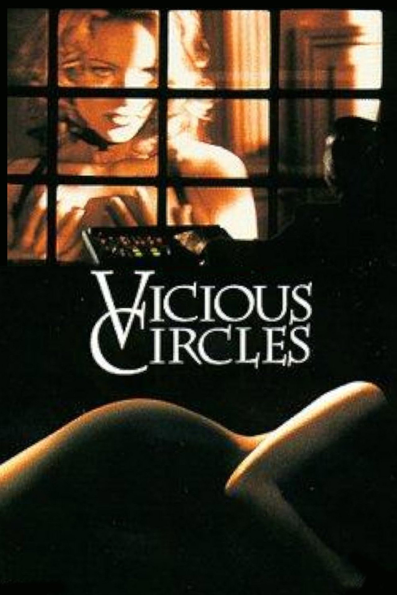 Pôster de Vicious Circles