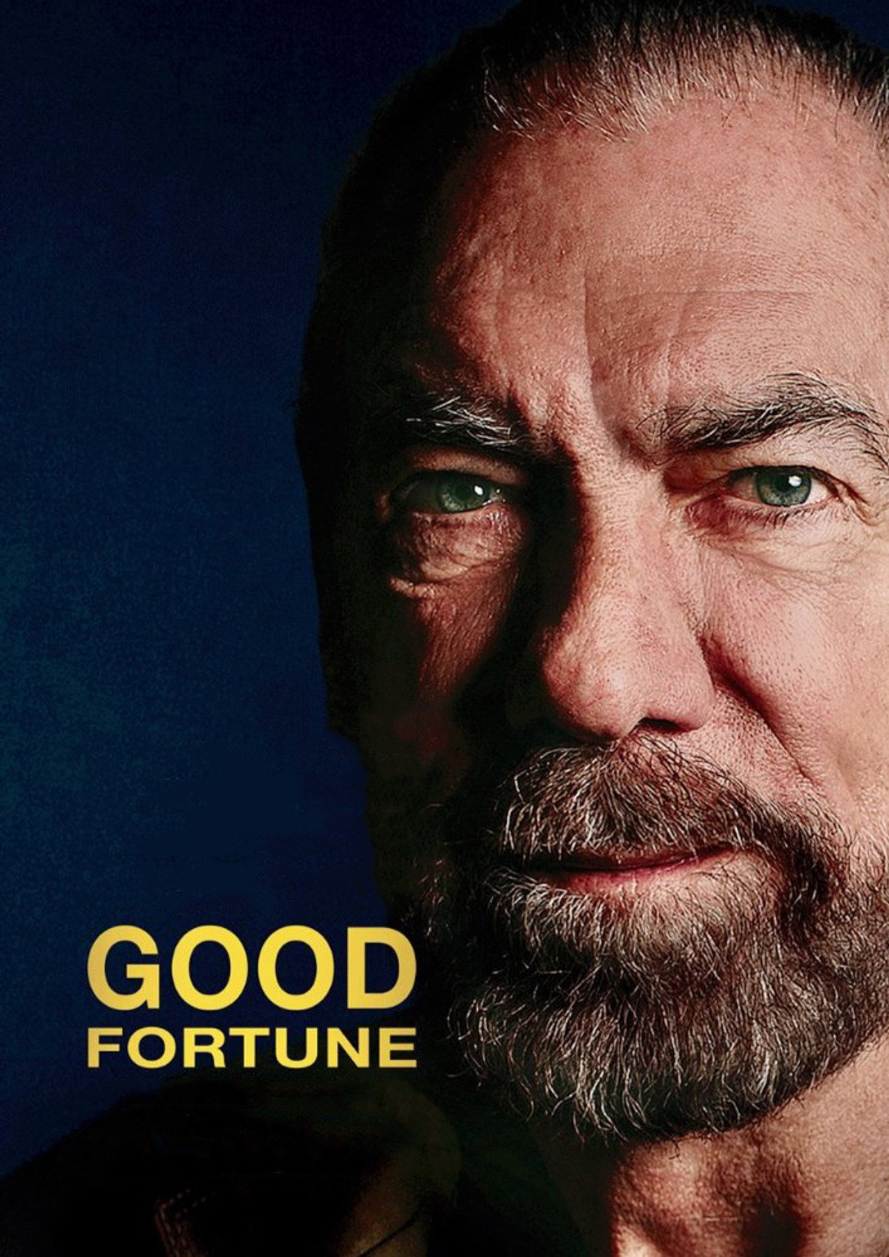 Pôster de Good Fortune