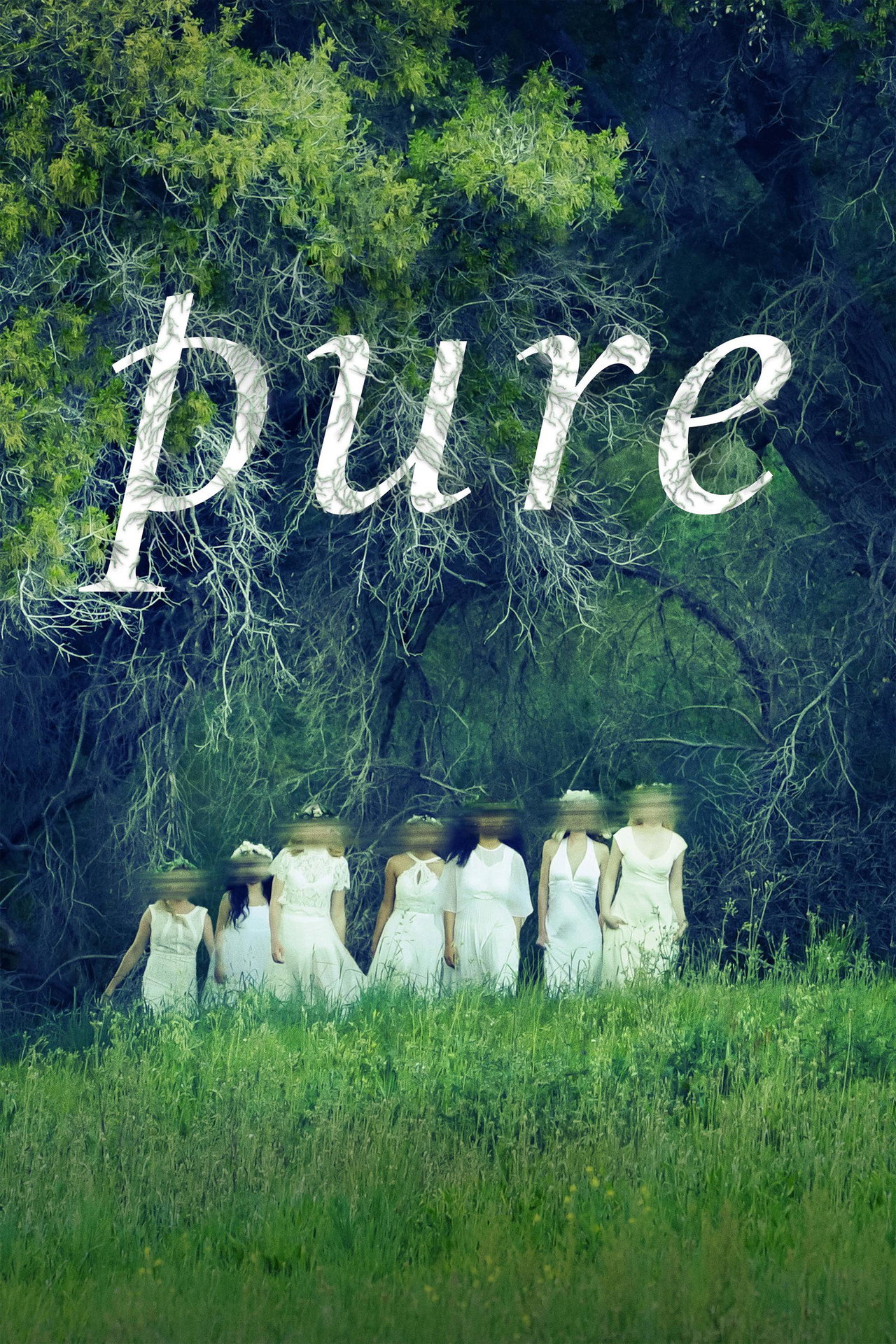 Pôster de Pure