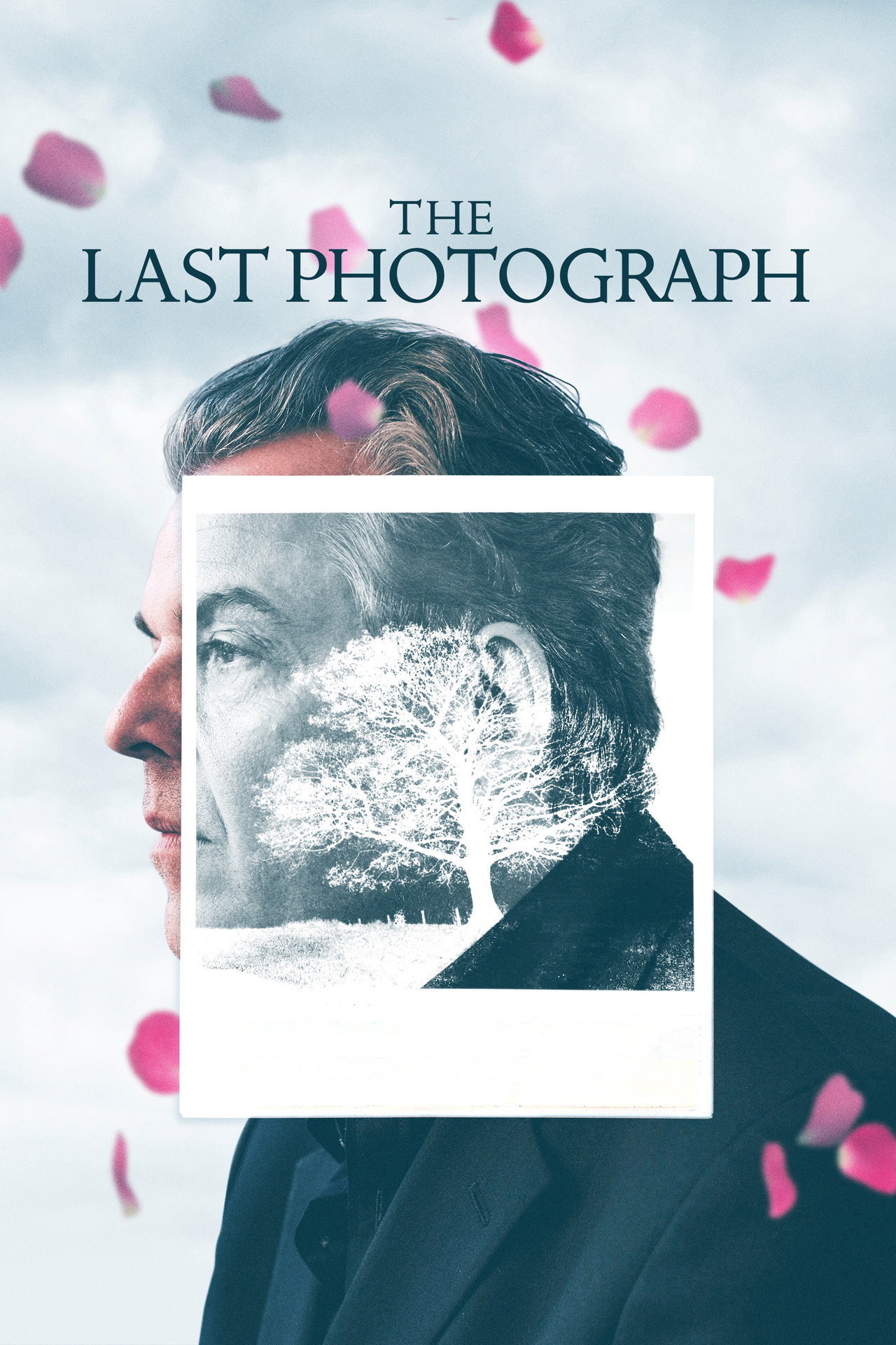 Pôster de The Last Photograph