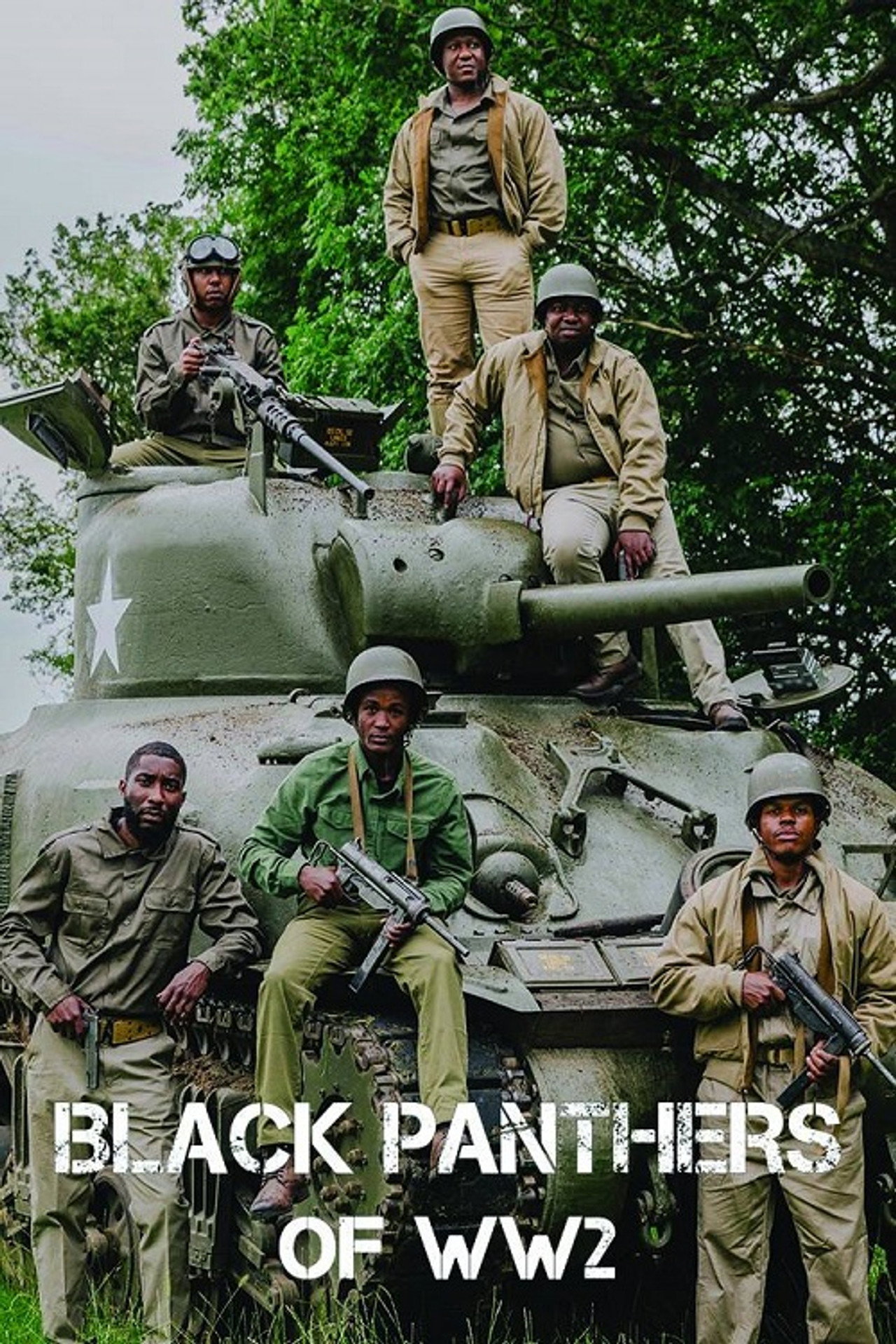 Pôster de The Black Panthers of WW2