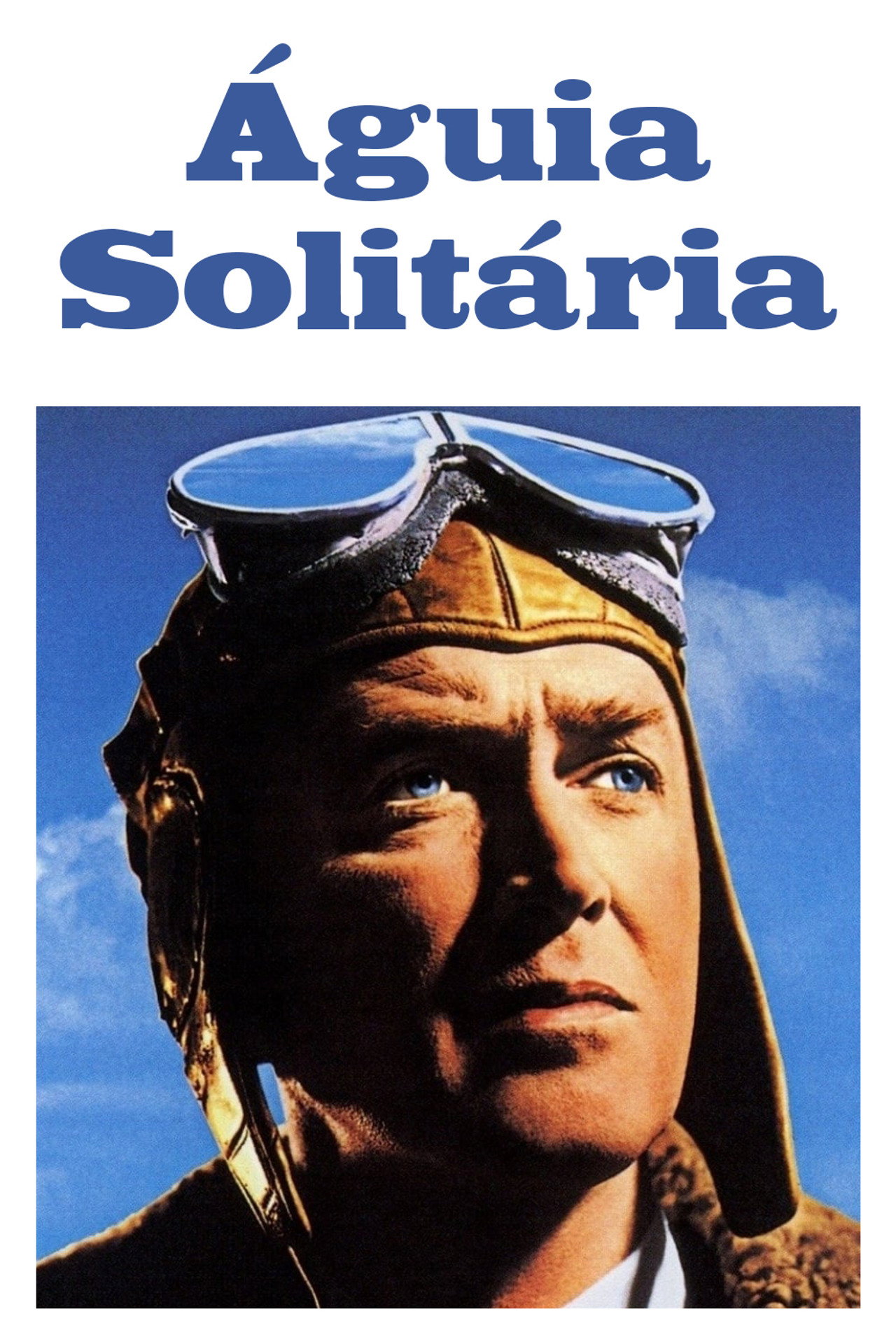 Pôster de Águia Solitária