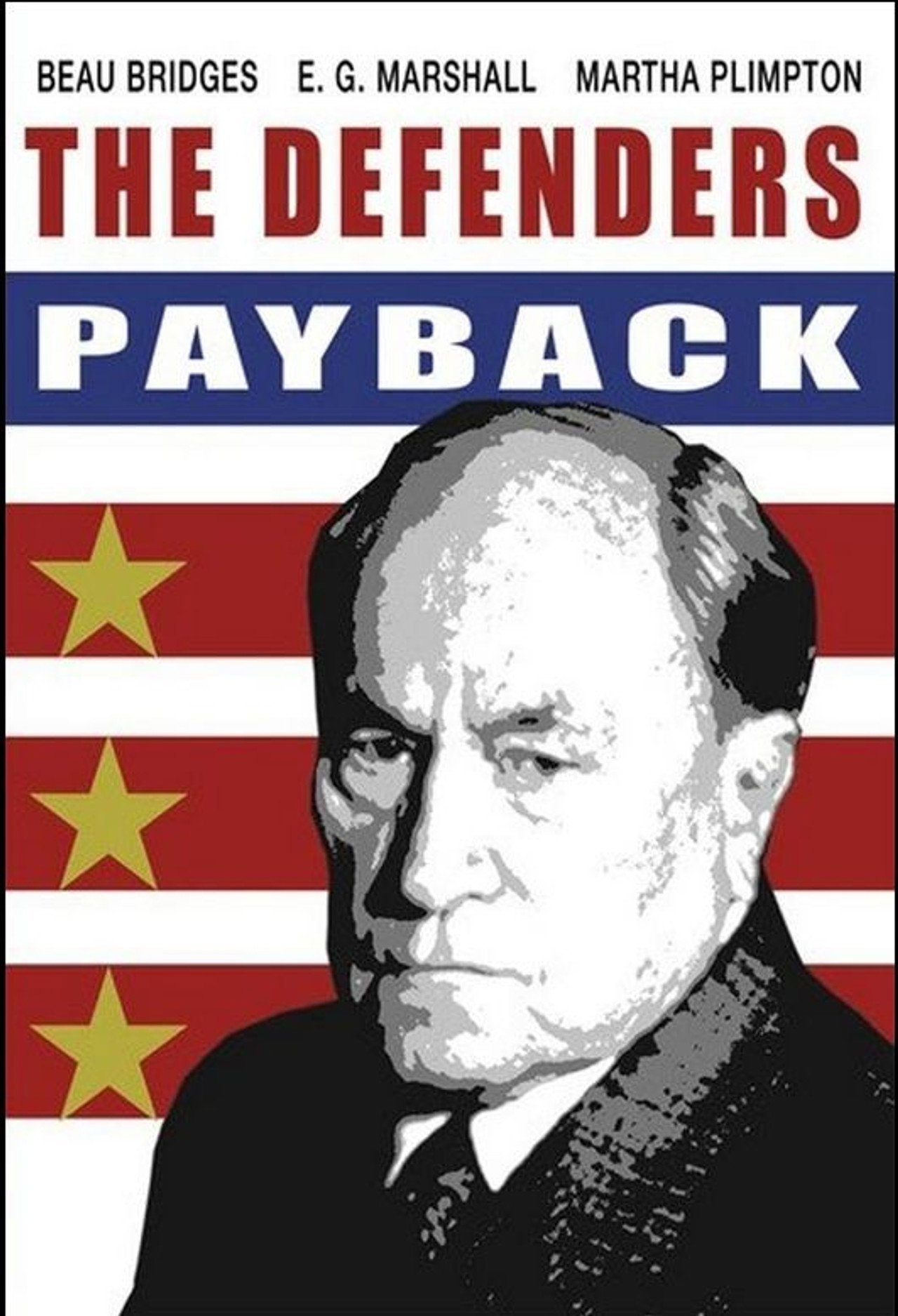 Pôster de The Defenders: Payback