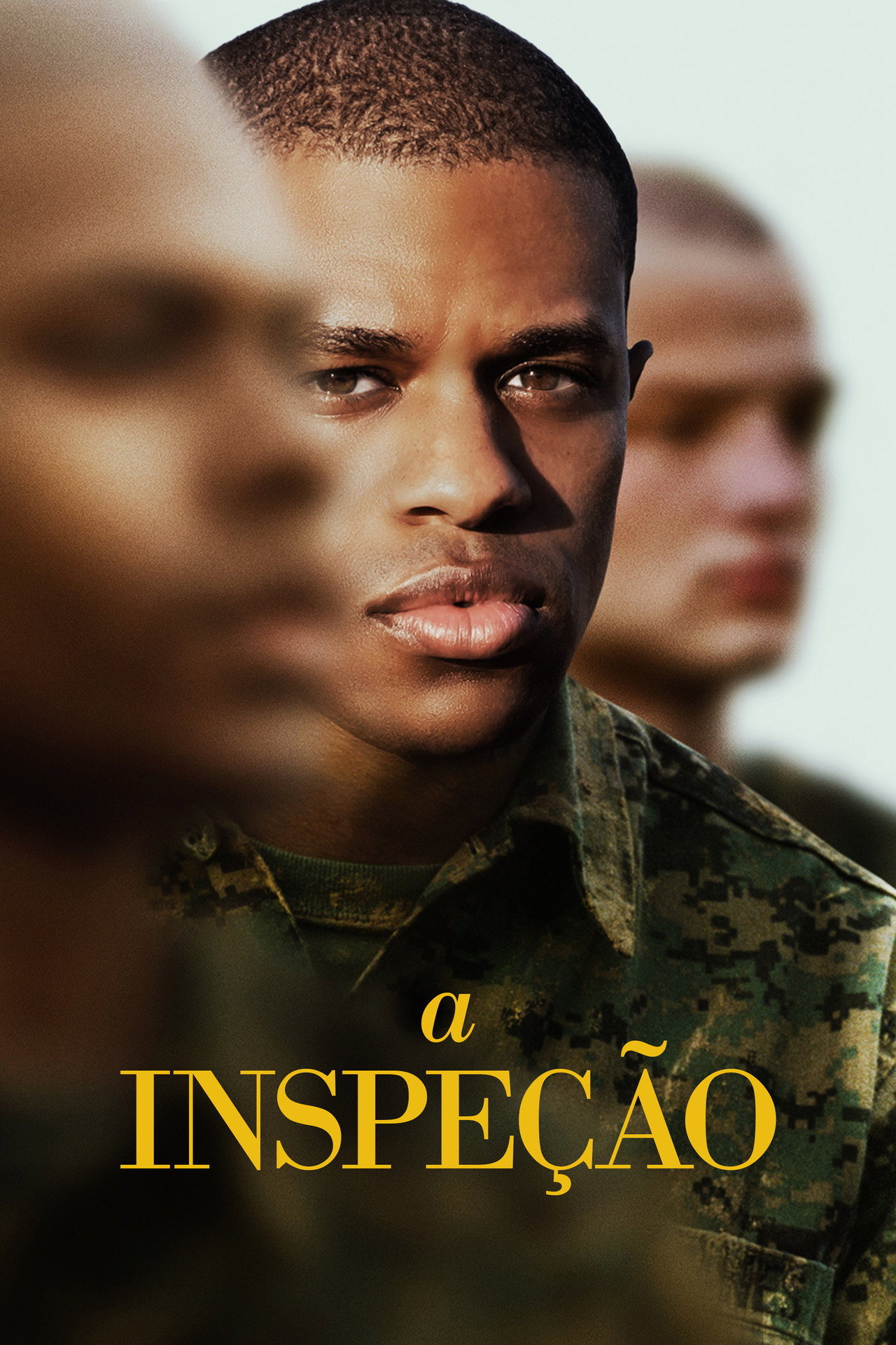 Pôster de A Inspeção