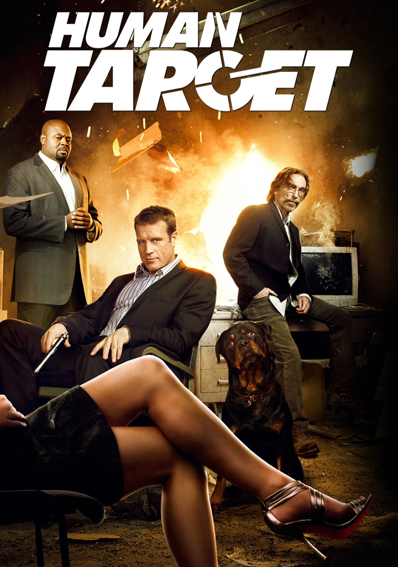 Pôster de Human Target