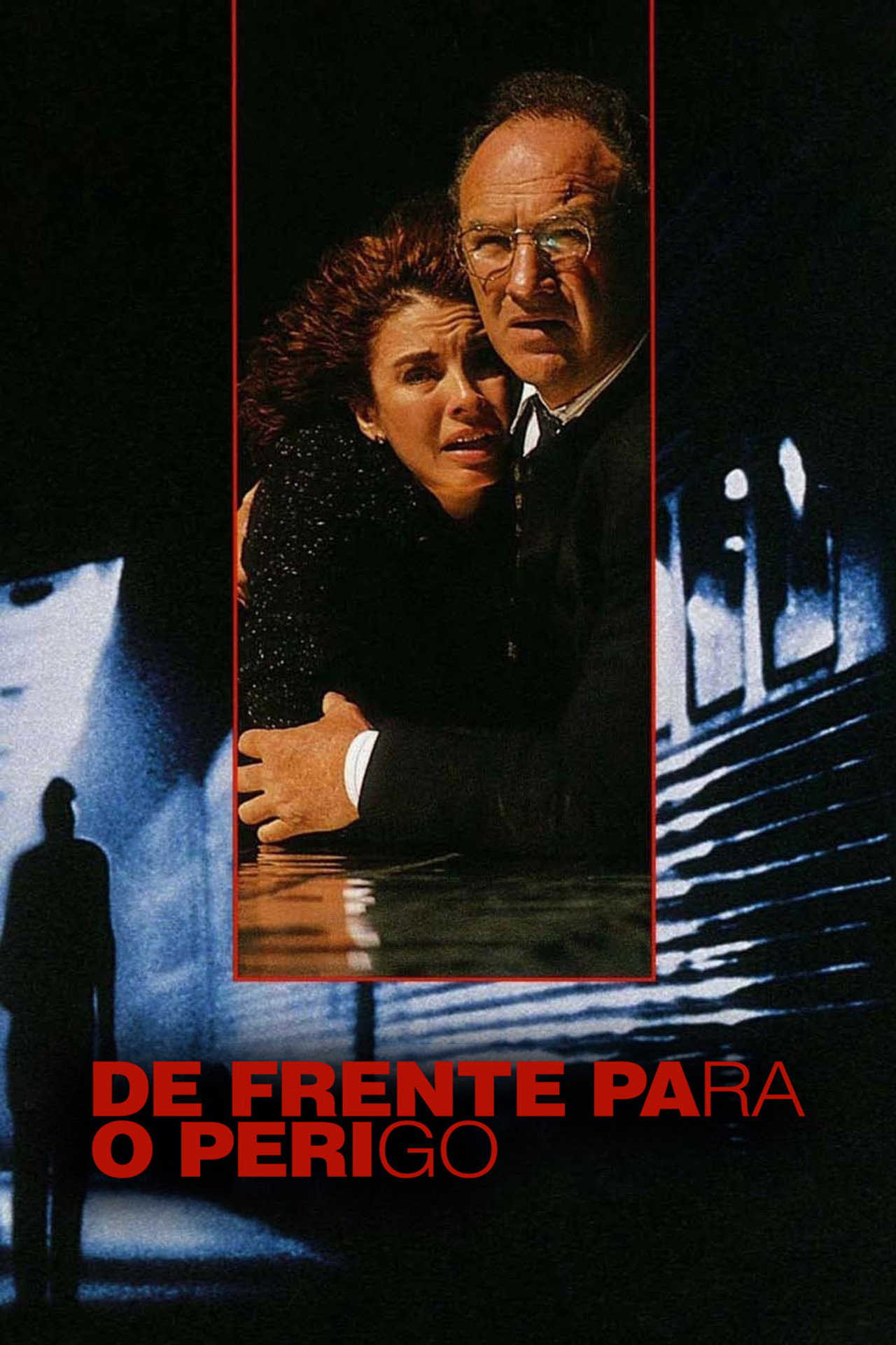 Pôster de De Frente Para o Perigo