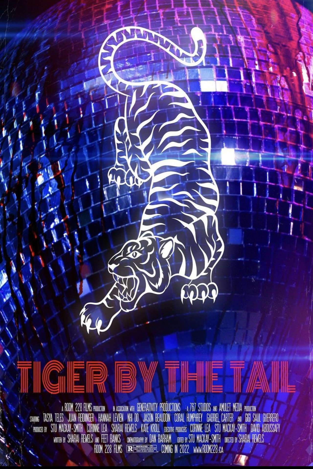 Pôster de Tiger by the Tail