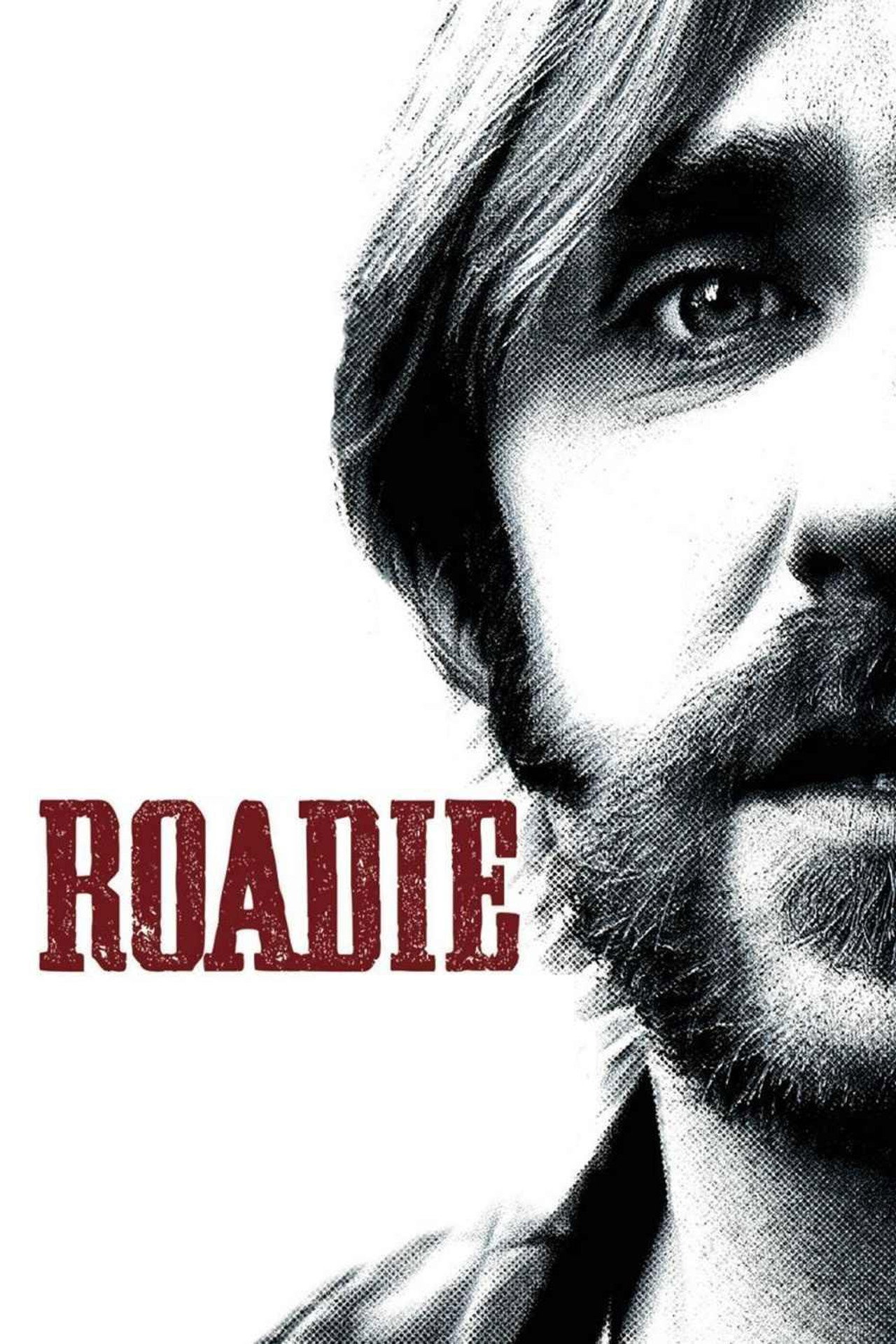 Pôster de Roadie