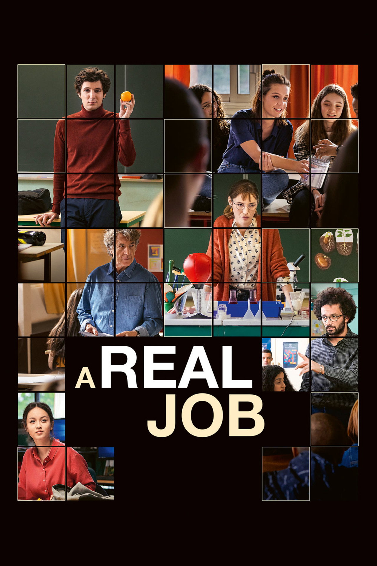 Pôster de A Real Job