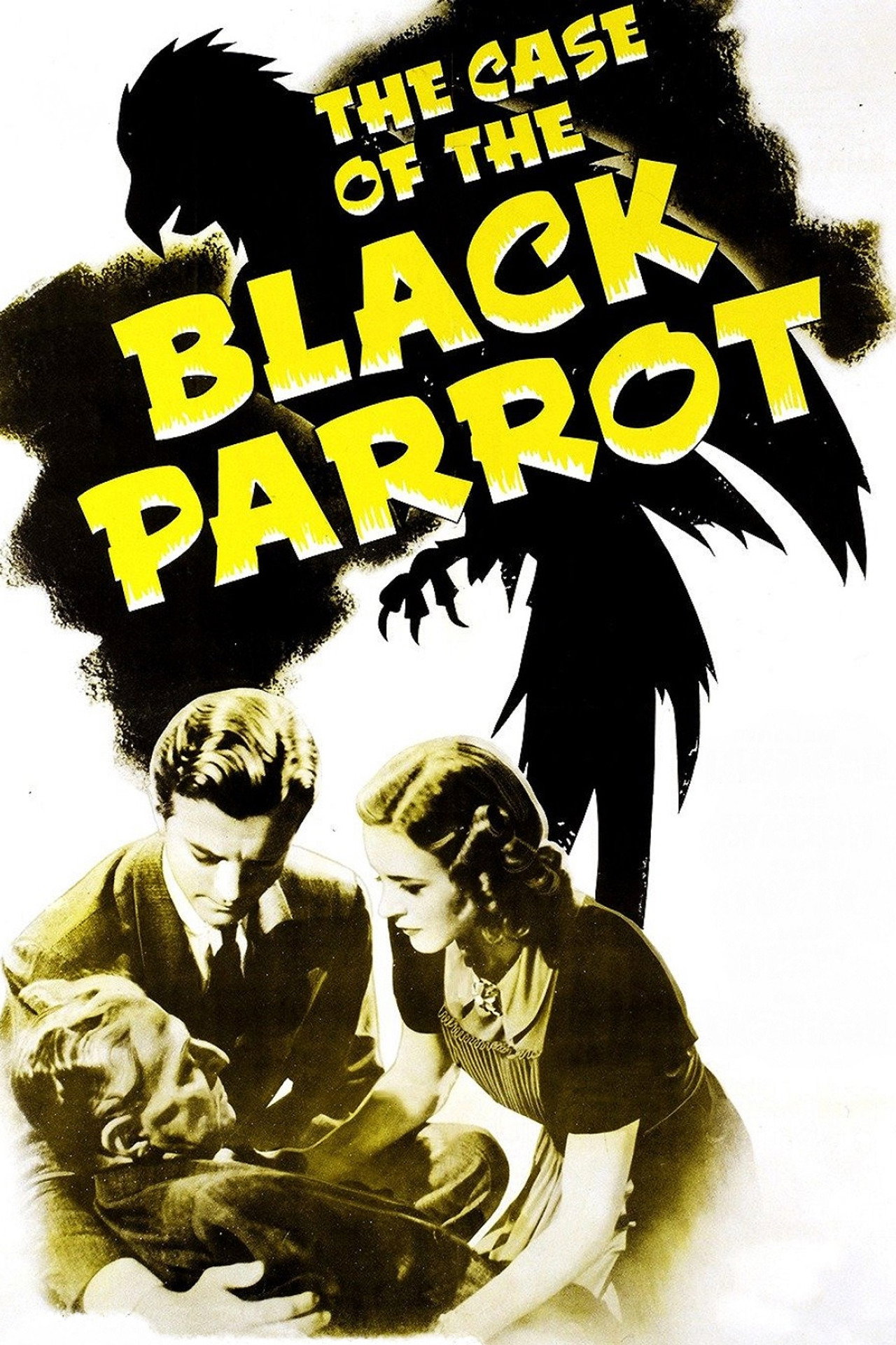 Pôster de The Case of the Black Parrot