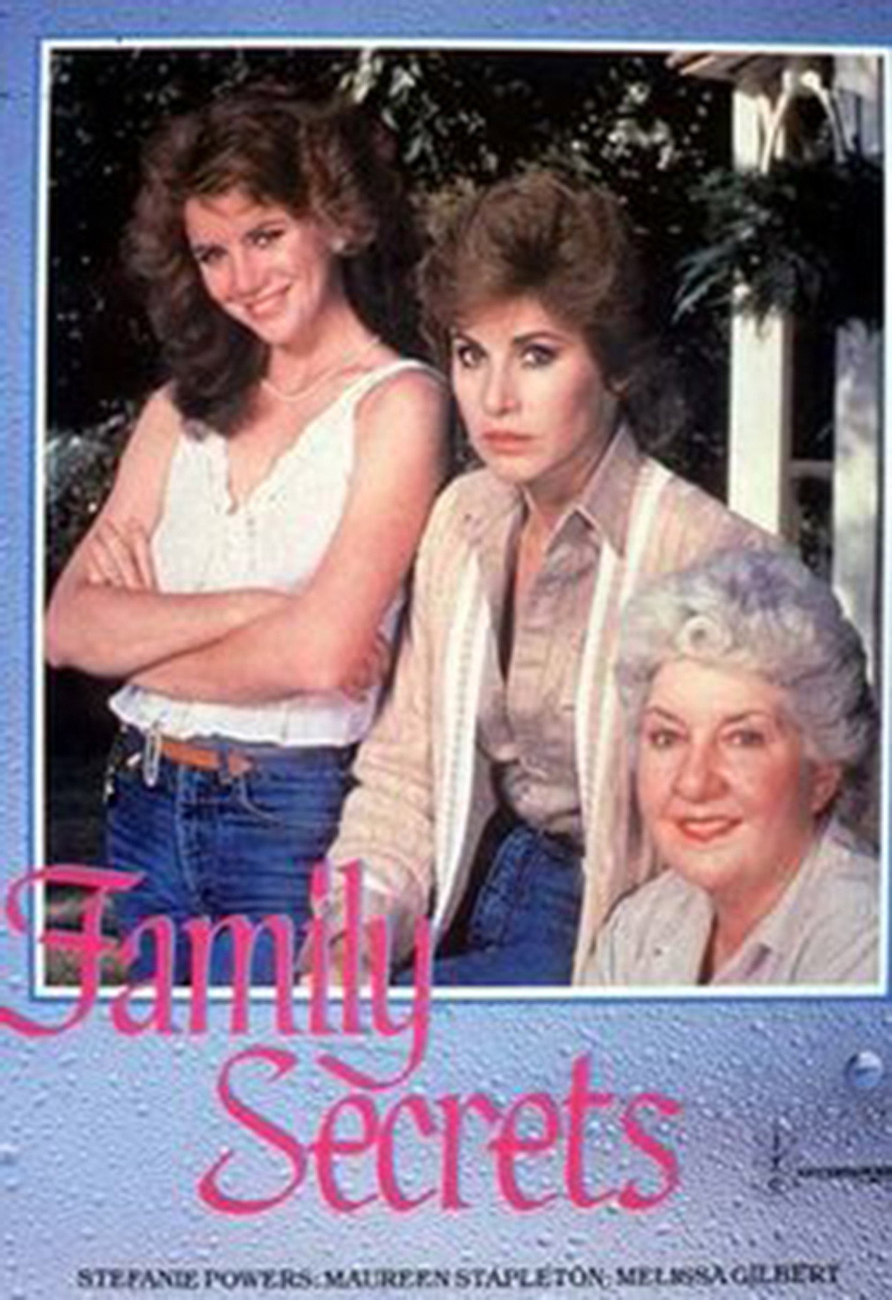 Pôster de Family Secrets