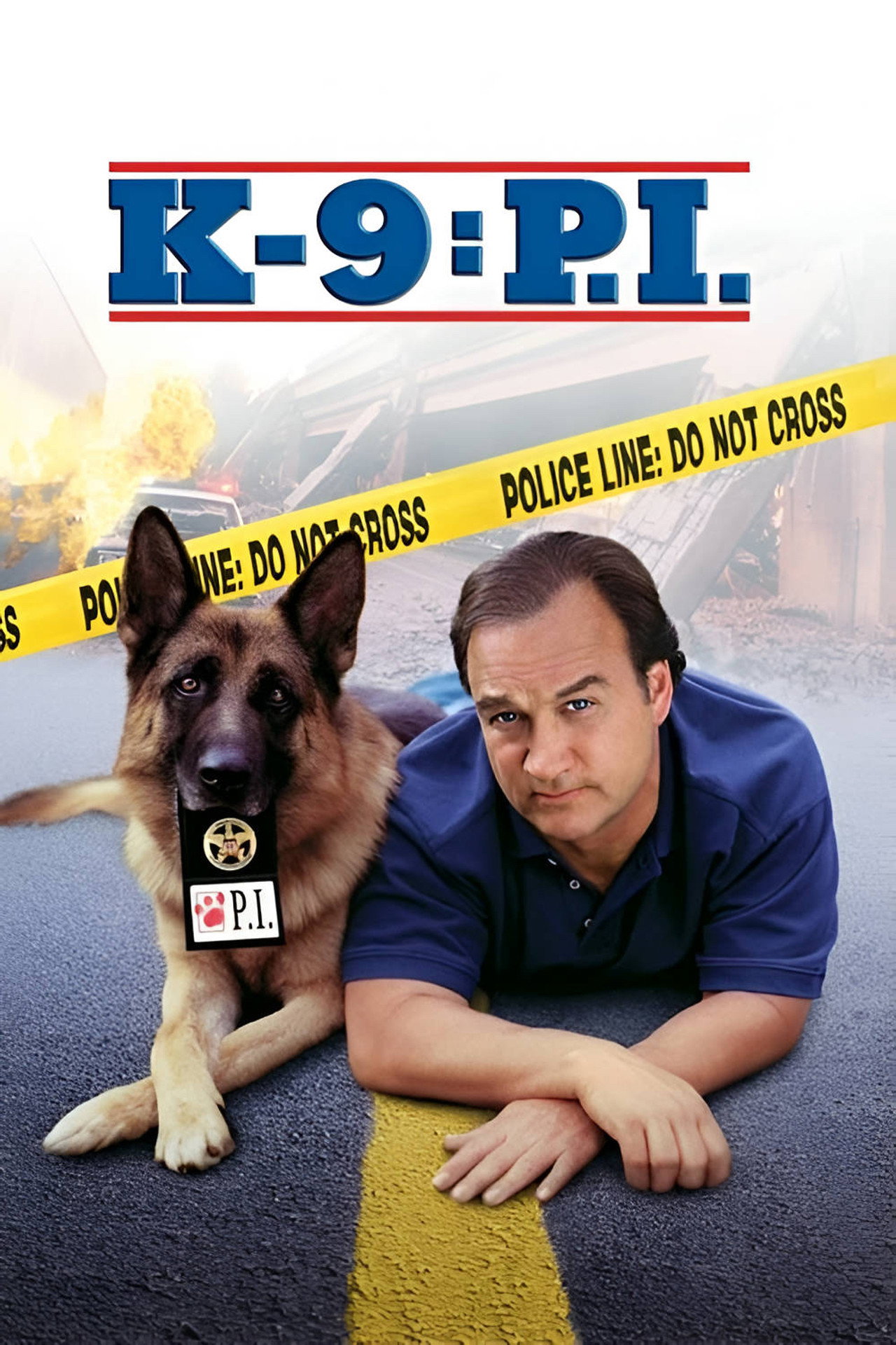 Pôster de K-9: P.I.